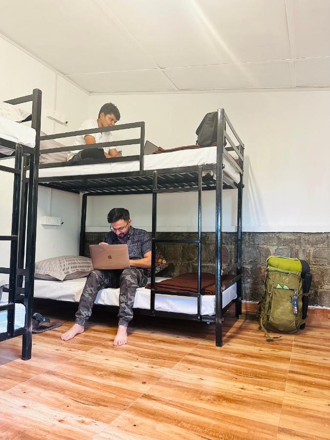 Dreamwoods A Travellers Farm Hostel *