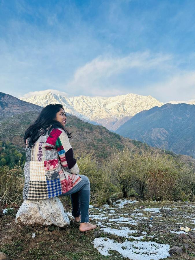 Dreamwoods A Travellers Farm Dharamshala