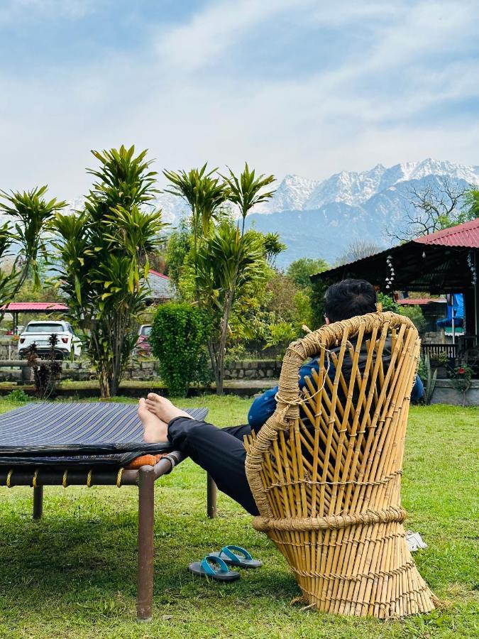 Dreamwoods A Travellers Farm Hostel *