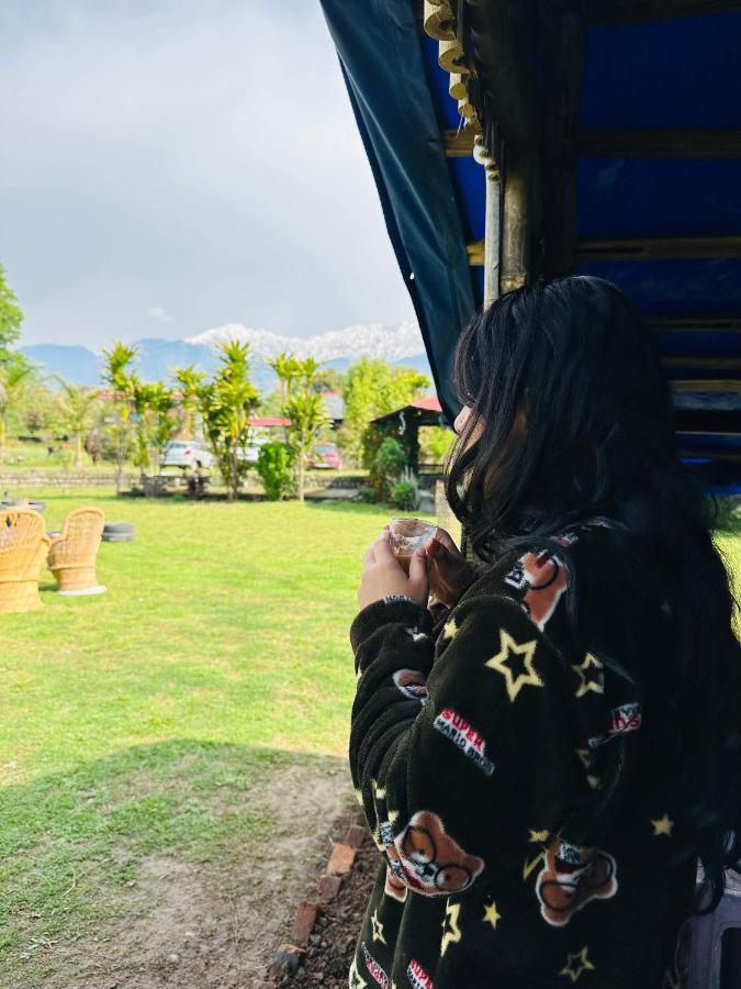 Dreamwoods A Travellers Farm * Dharamshala