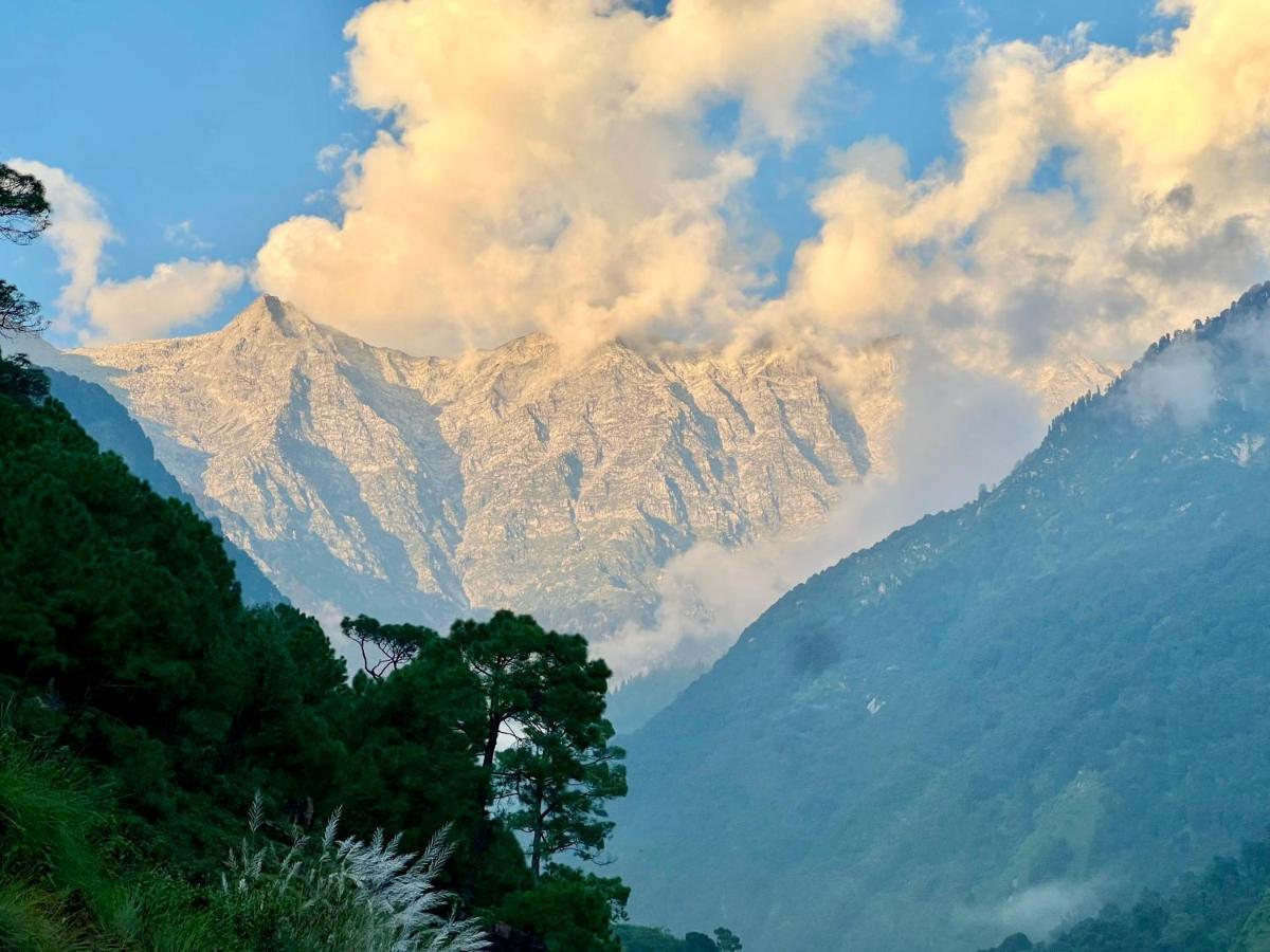 Resort Snow Biscuit Mountain Dharamshala