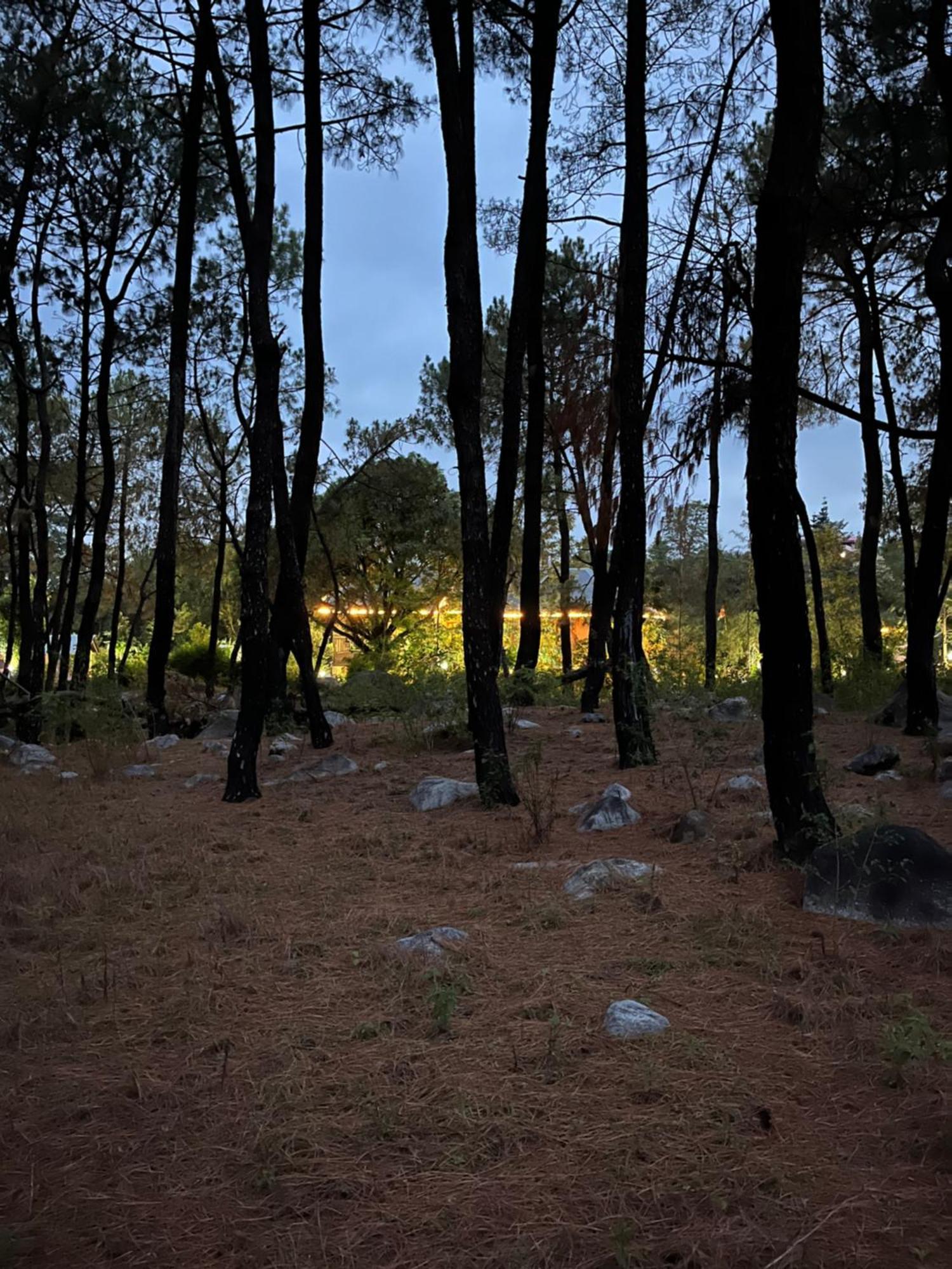 Prakriti Aalay - Riverside Mountain View Boutique Eco Resort Dharamshala