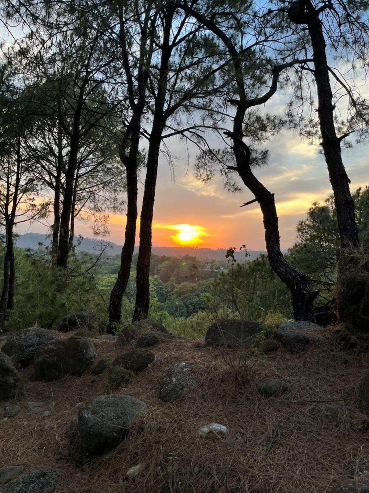 Prakriti Aalay - Riverside Mountain View Boutique Eco Resort Dharamshala