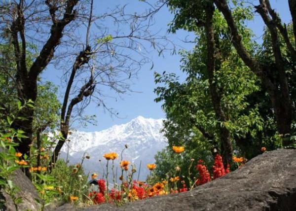 Hotel Mountain Mcleodganj