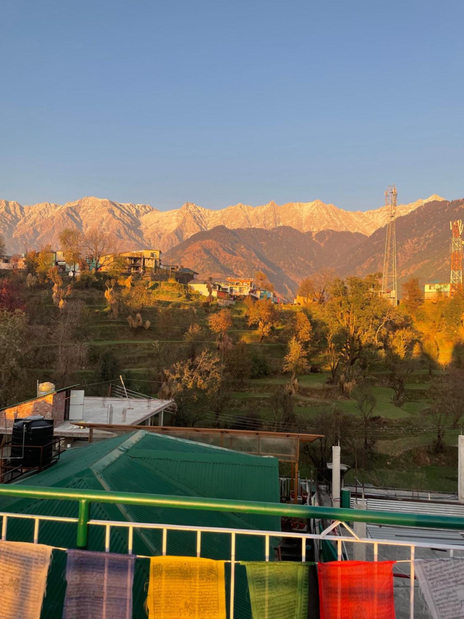 Shiva Homestay Dharamshala