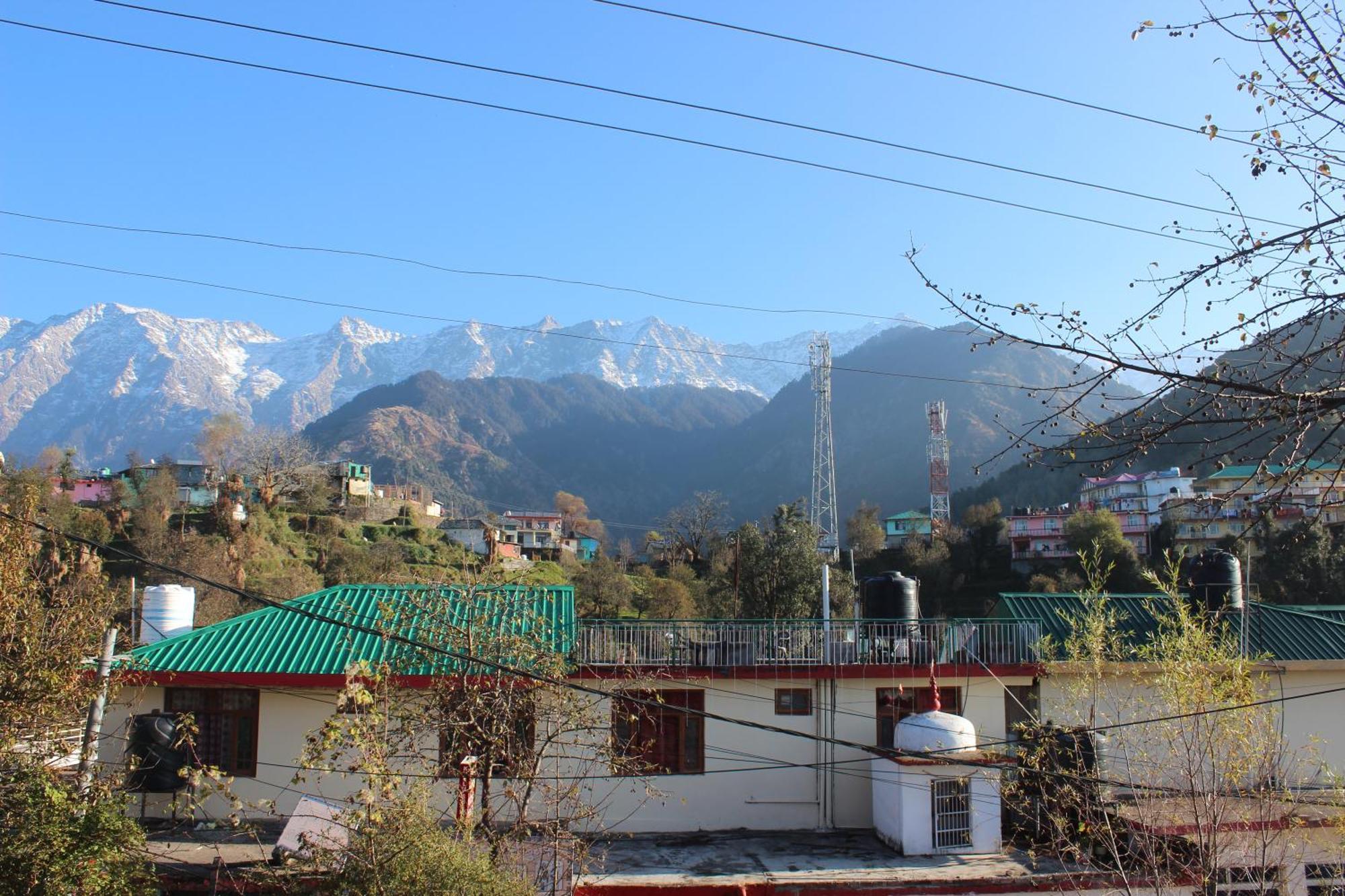 Homestay Shiva *