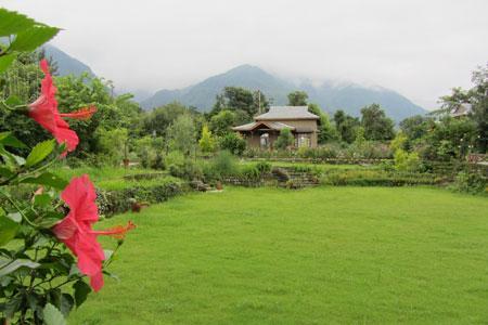 Blossoms Village