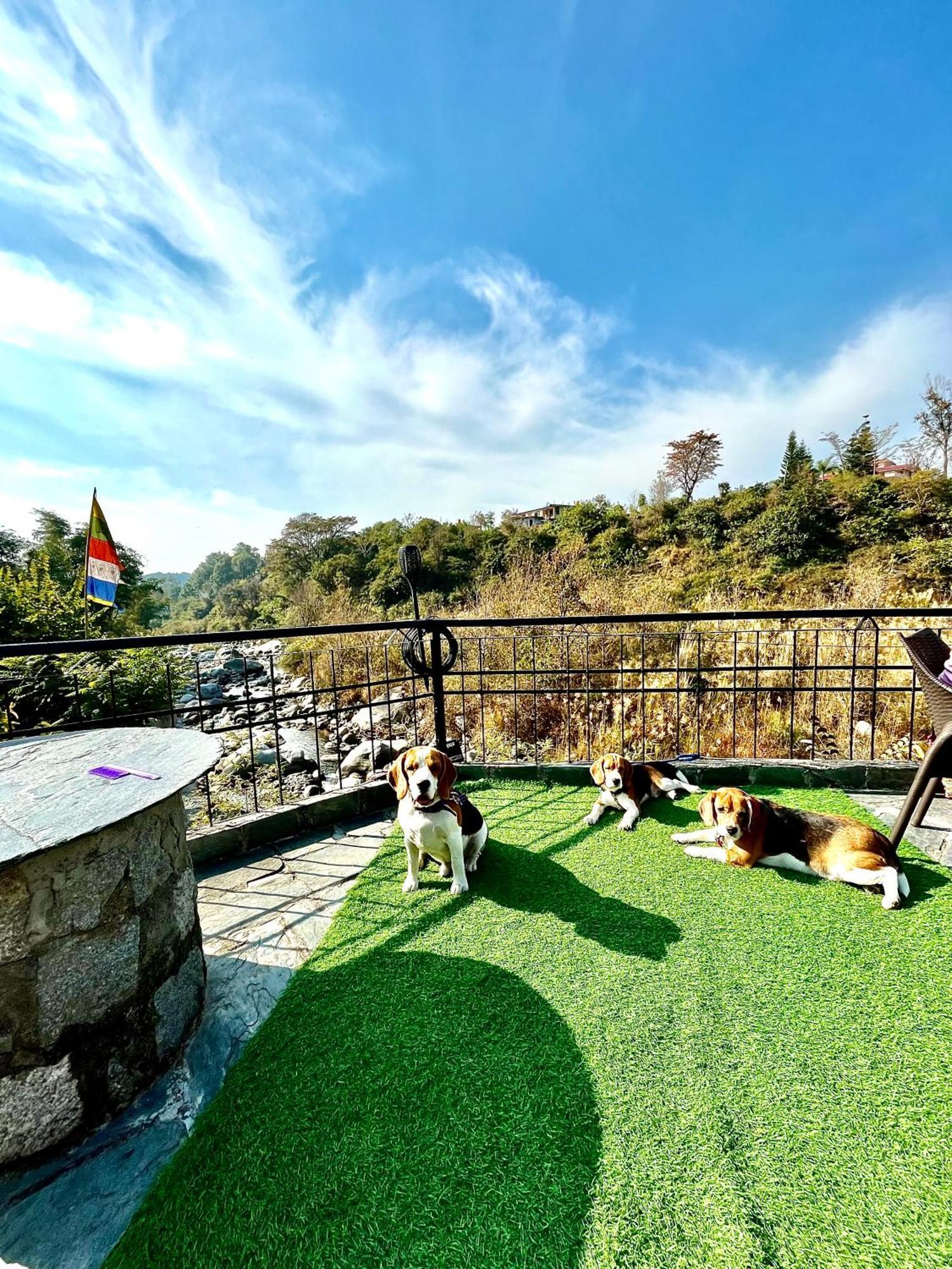 Resort Prakriti Aalay - Riverside Mountain View Boutique Eco 4*