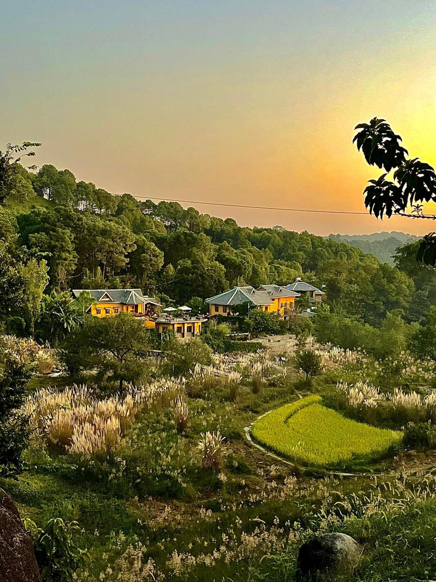 Prakriti Aalay - Riverside Mountain View Boutique Eco 4* Dharamshala