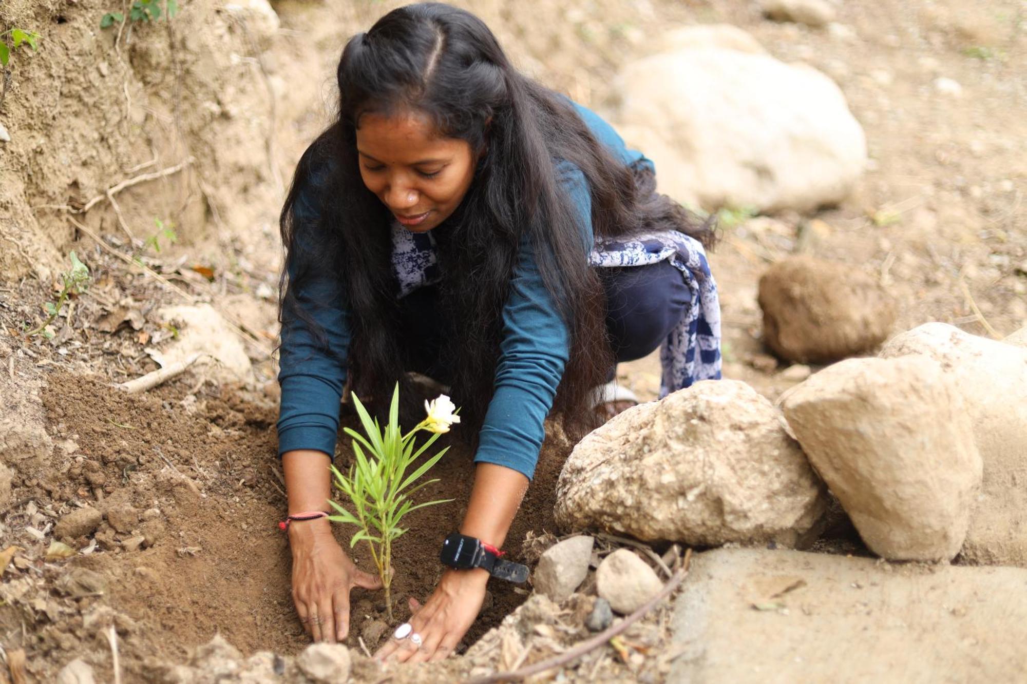 Dev Bhoomi Farms &