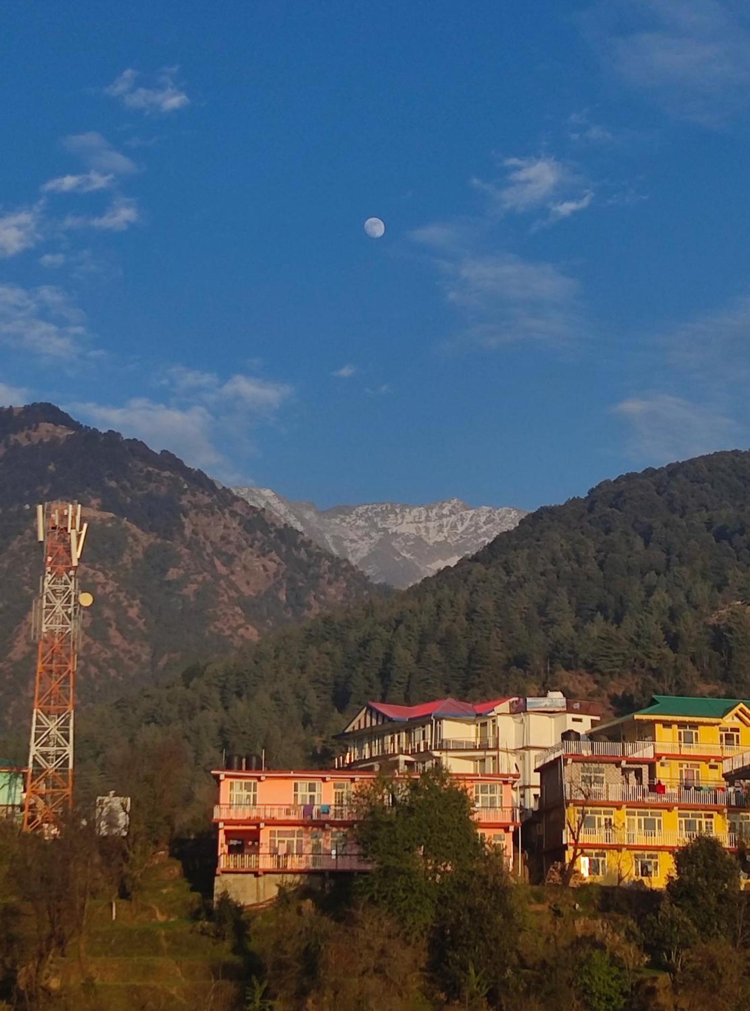Shiva Homestay