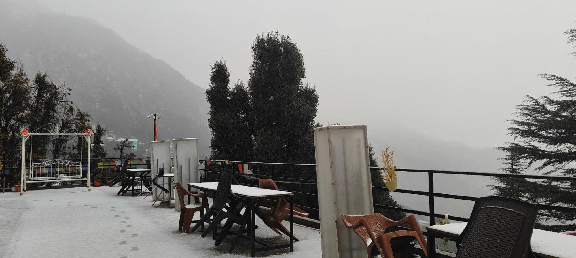 The Unmad - Dharamkot