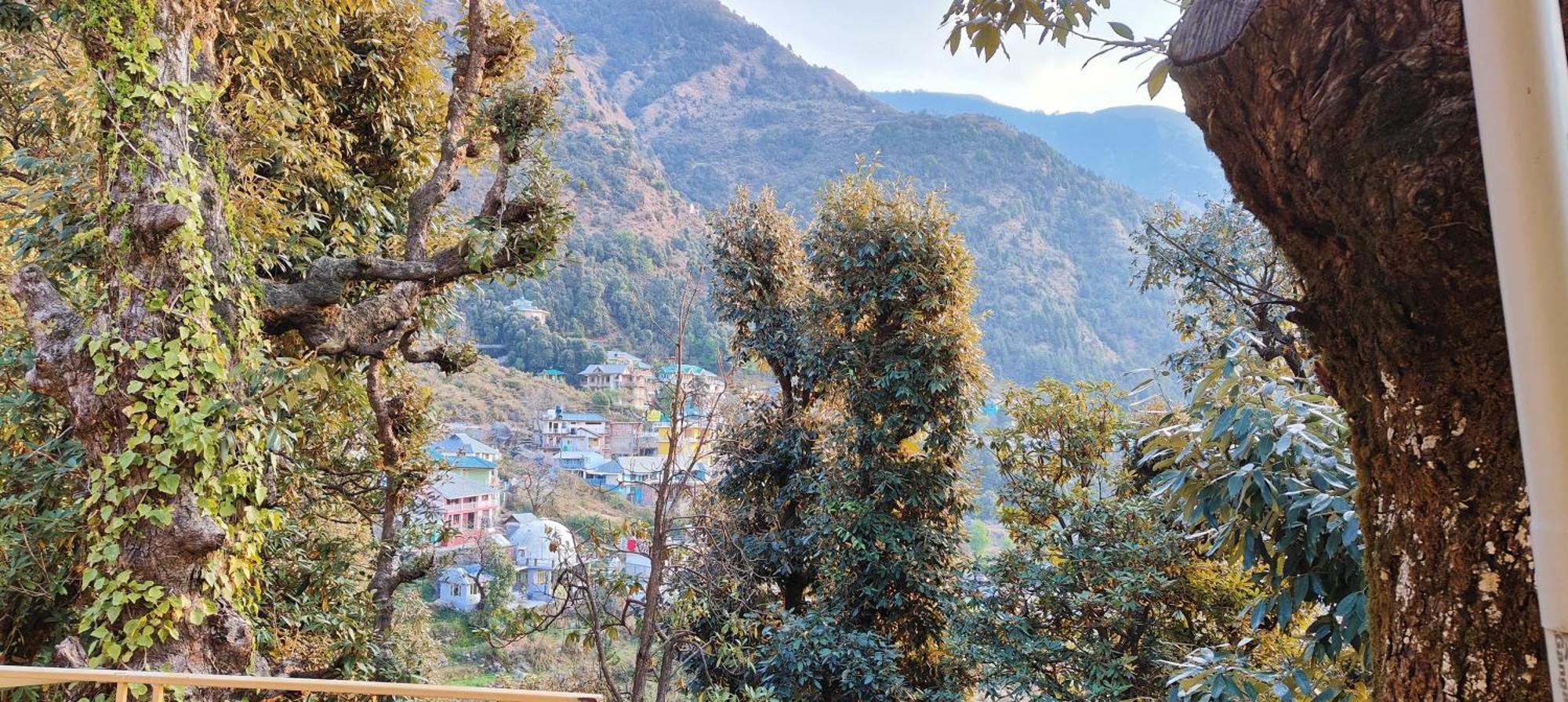 The Unmad - Dharamkot