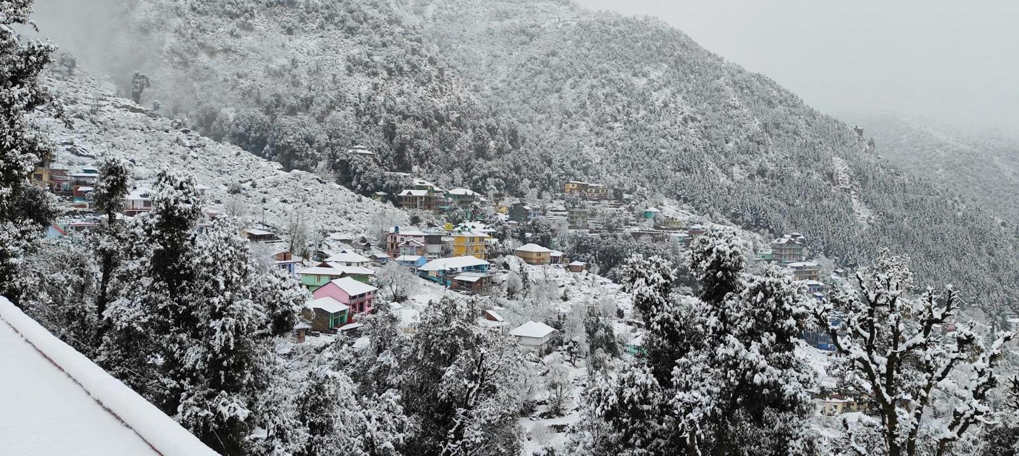 The Unmad - Dharamkot Dharamshala
