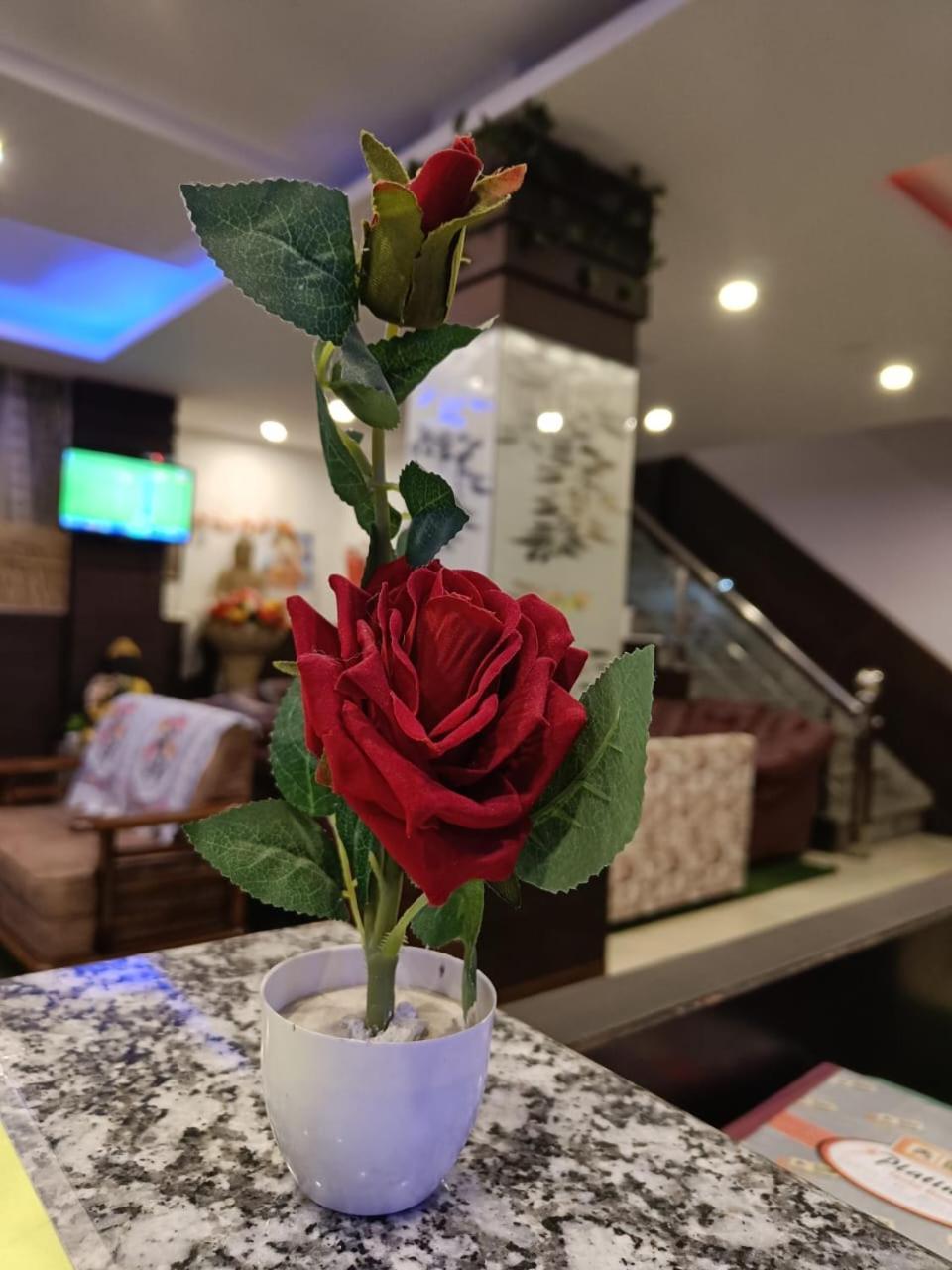 King Castle Mcleodganj-centrally Heated And Air Cooled- Near Mall Road - Free Parking