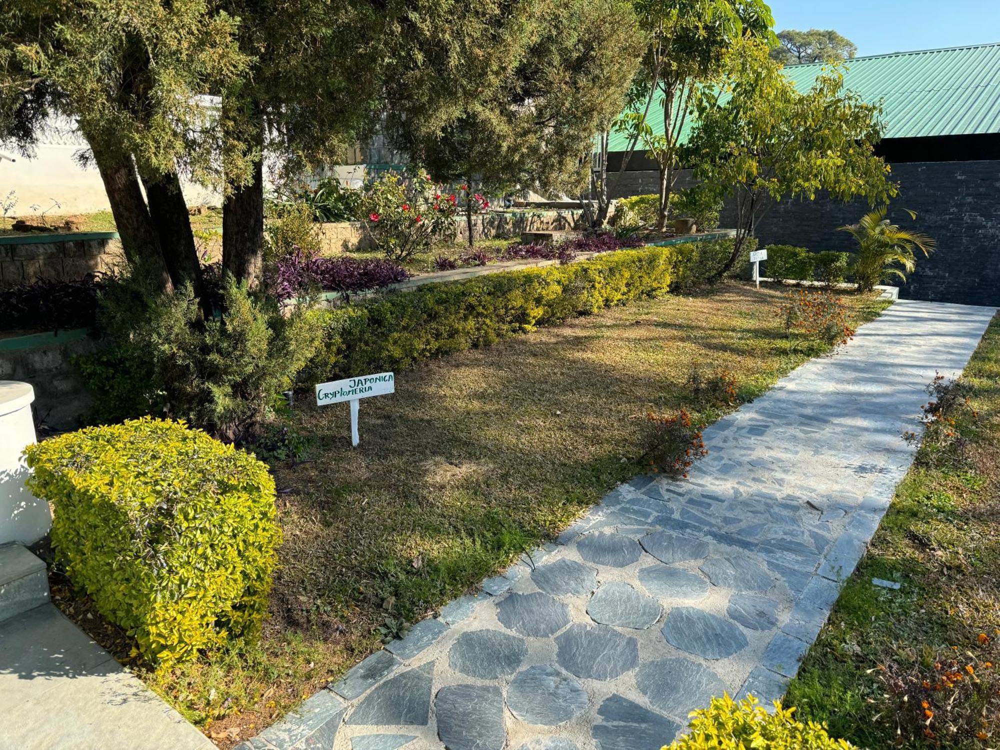 Brij Anayra - A Himalayan Luxury Retreat Hotel Dharamshala