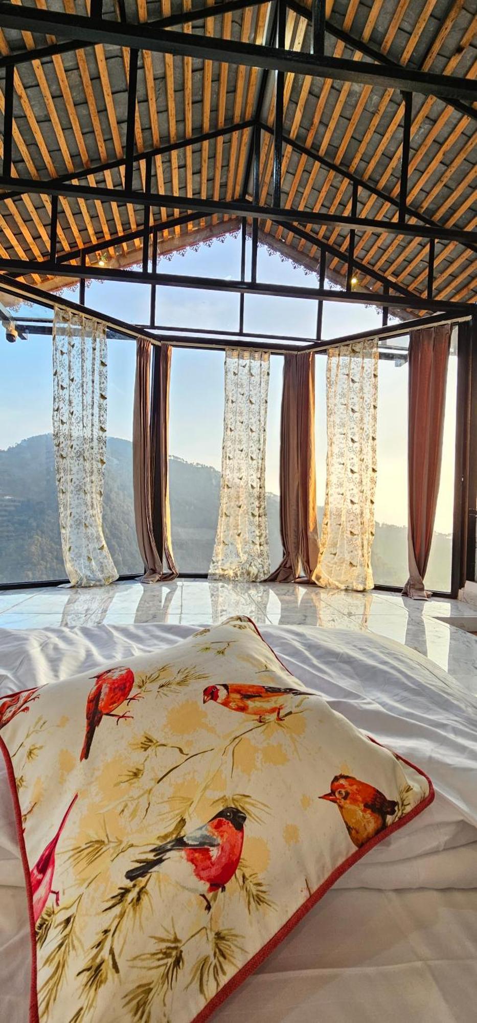 Resort Snow Biscuit Mountain Dharamshala