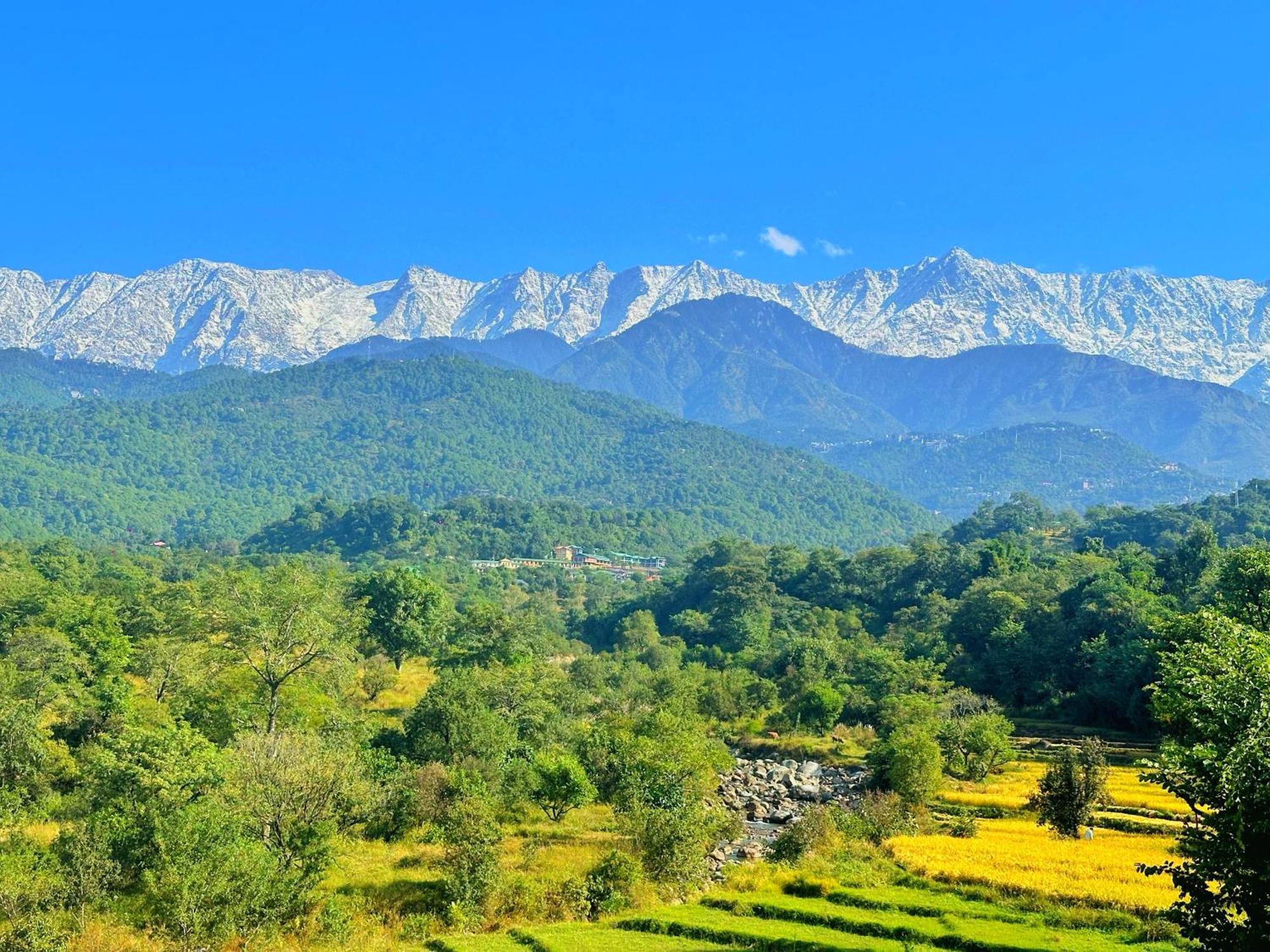 Dhauladhar Homes *