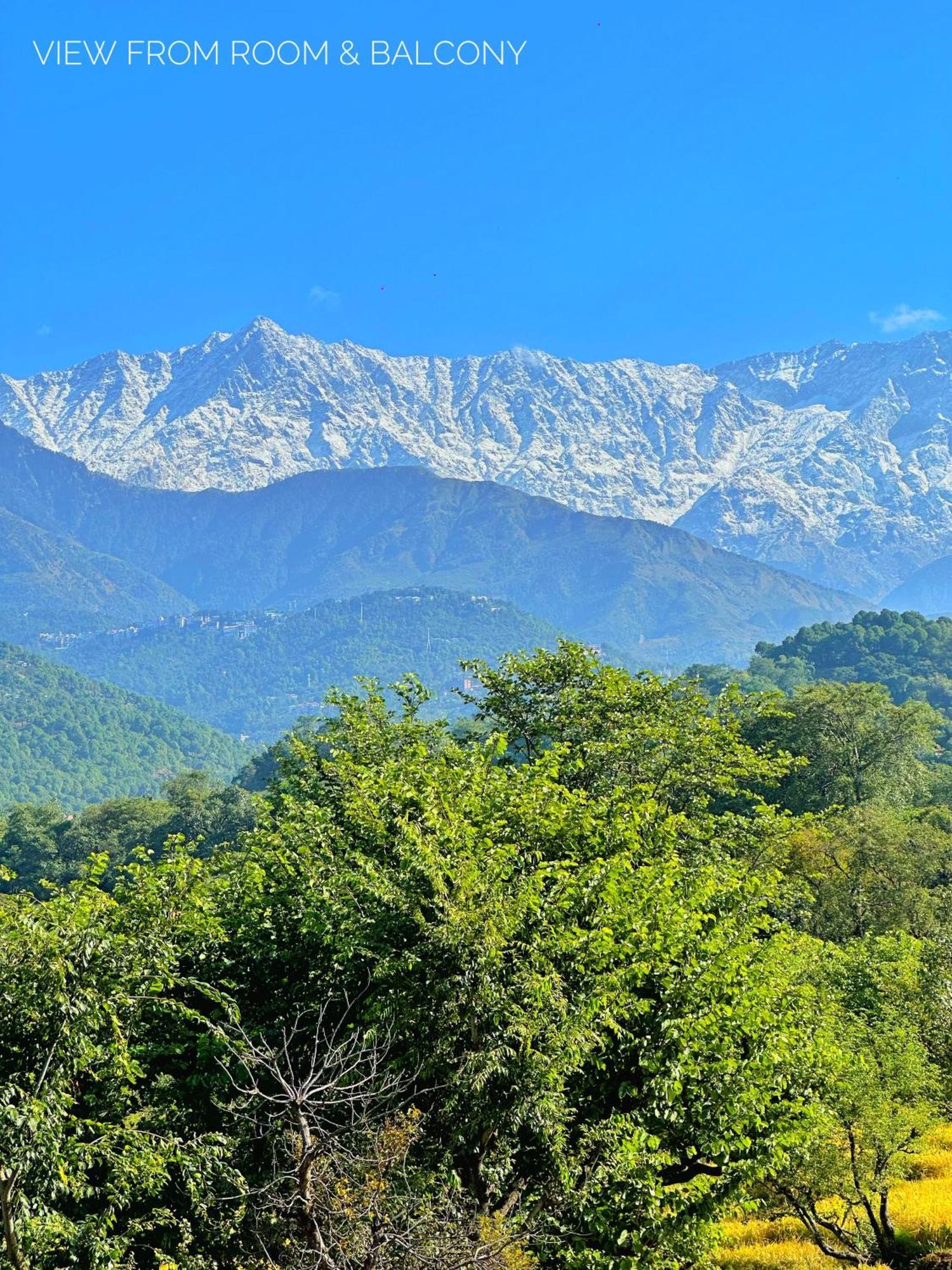 Dhauladhar Homes Apartment Dharamshala
