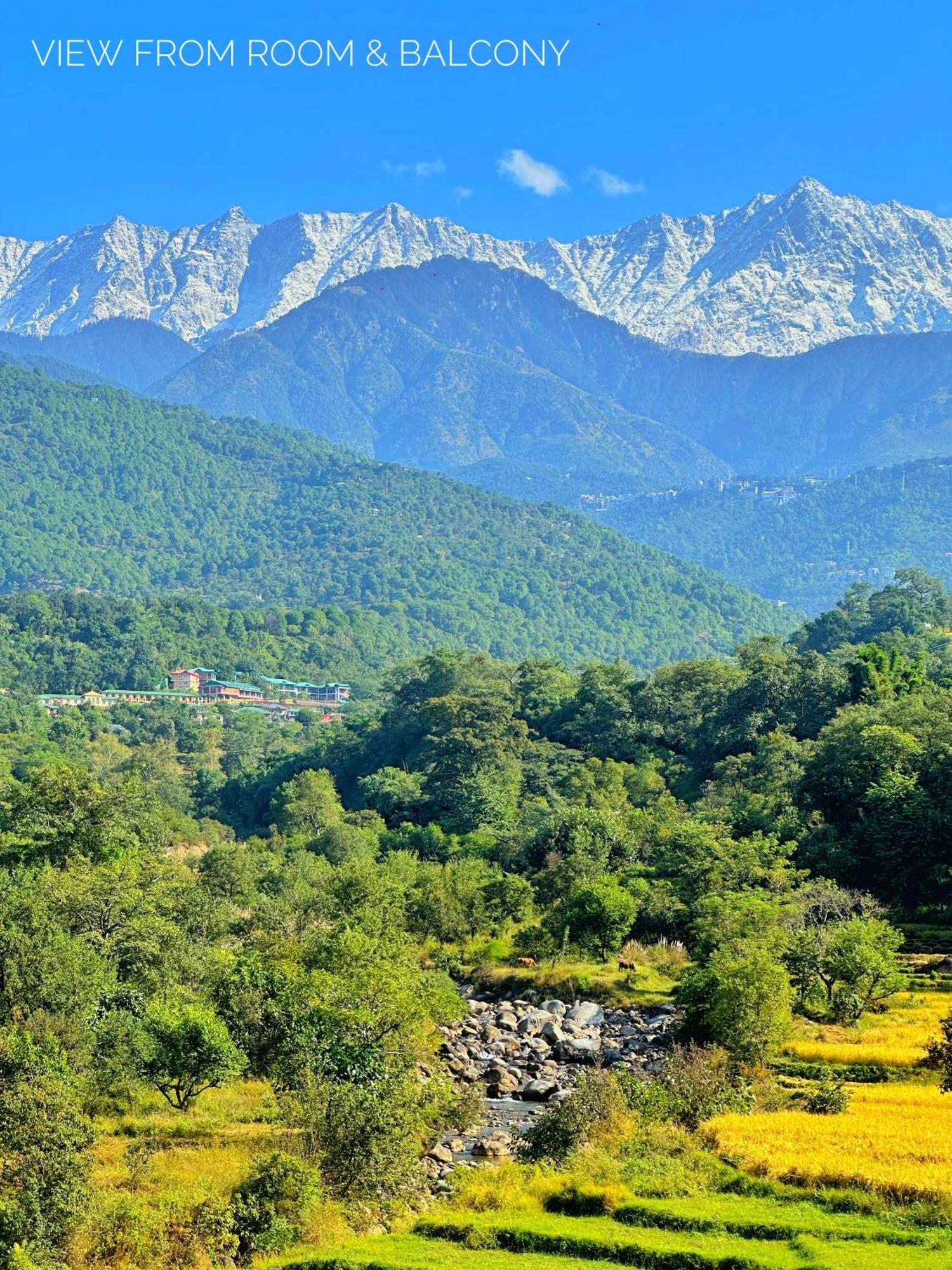 Dhauladhar Homes