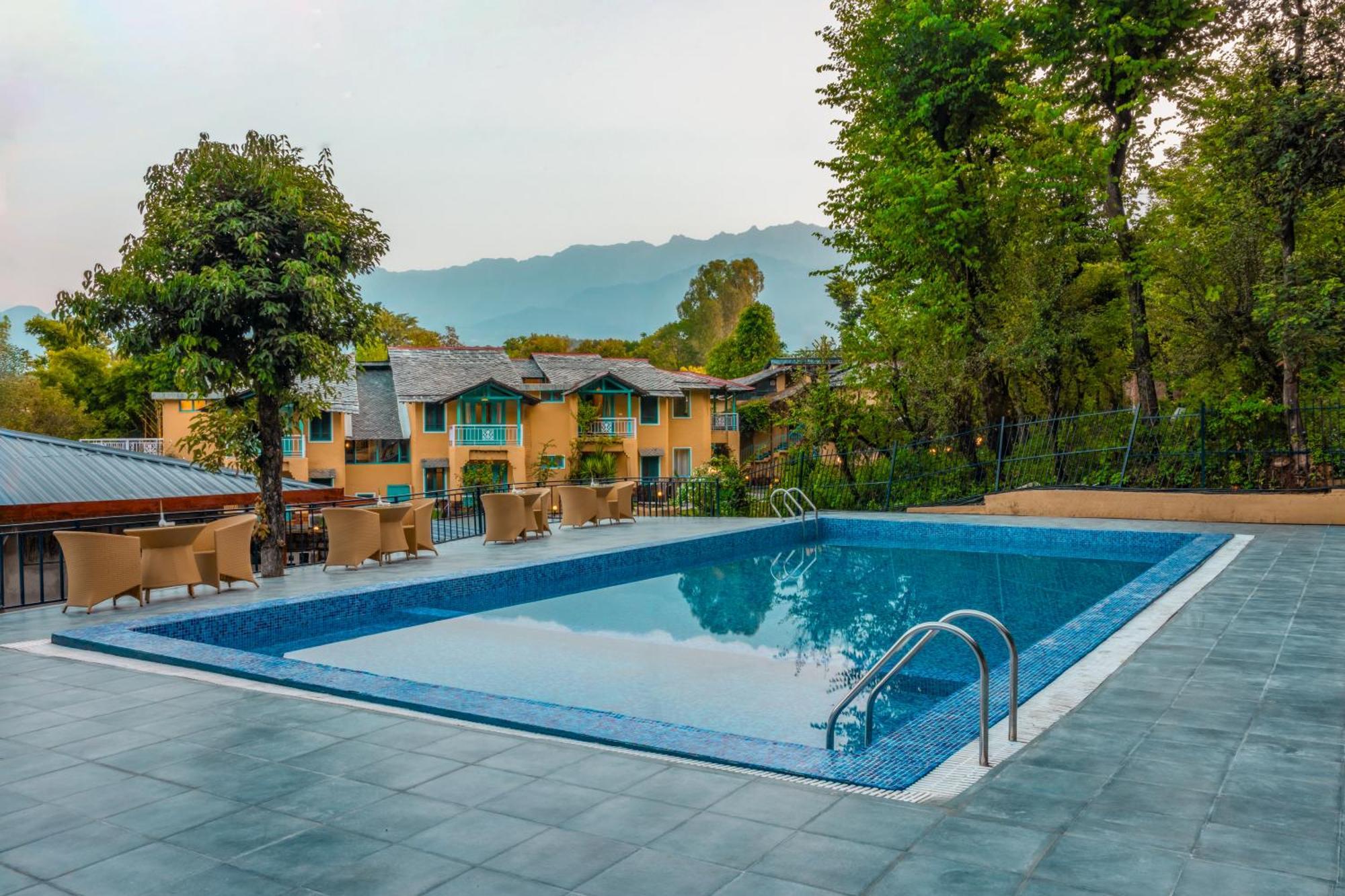 Tree Of Life Birdsong , Hotel Dharamshala