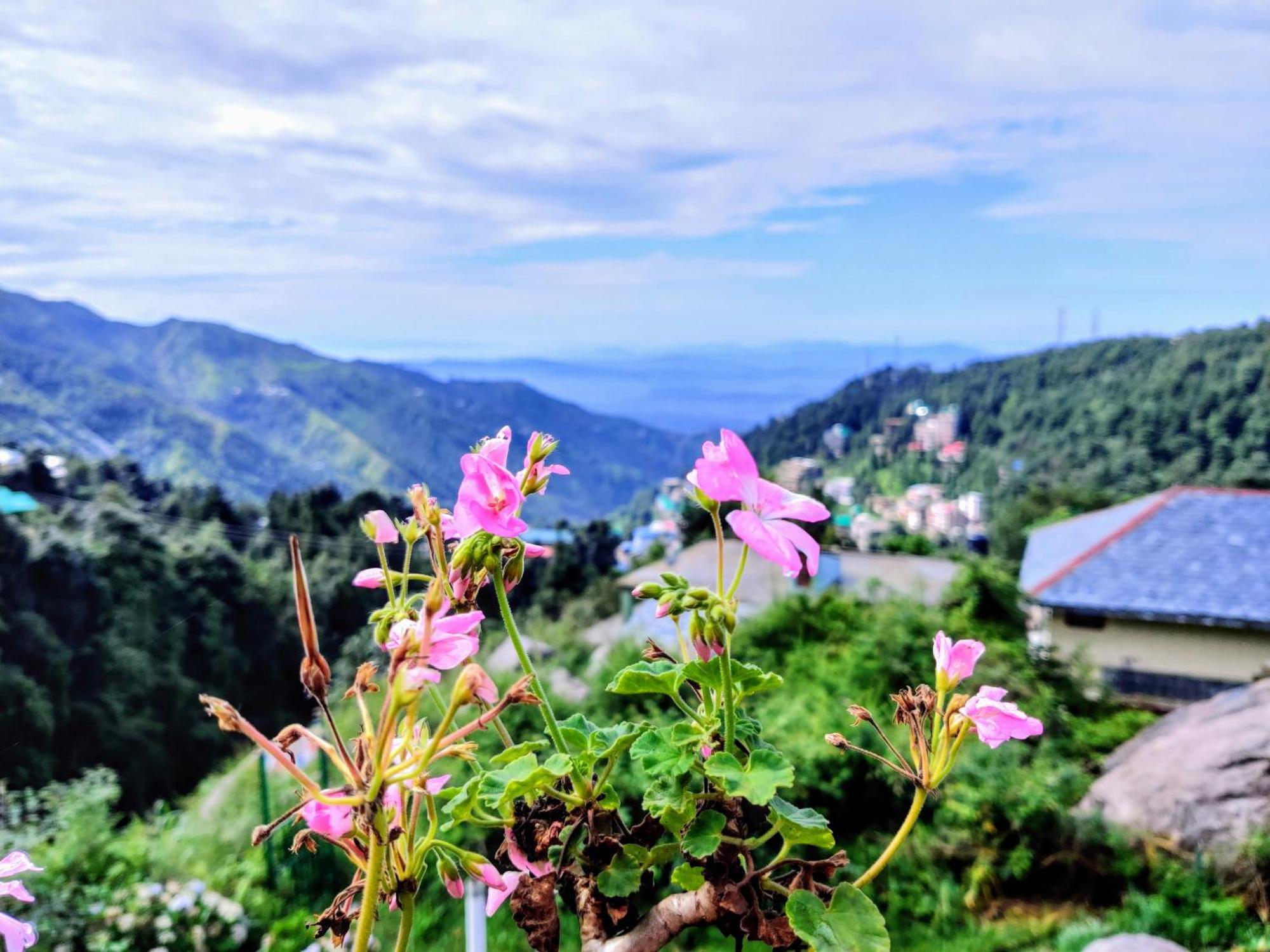 Hostel Utopia Dharamkot Mcleodganj *
