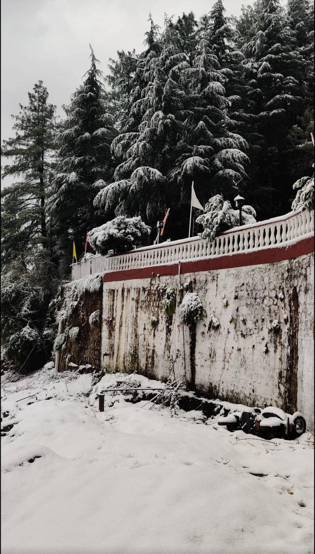 The By Vrb Mcleodganj