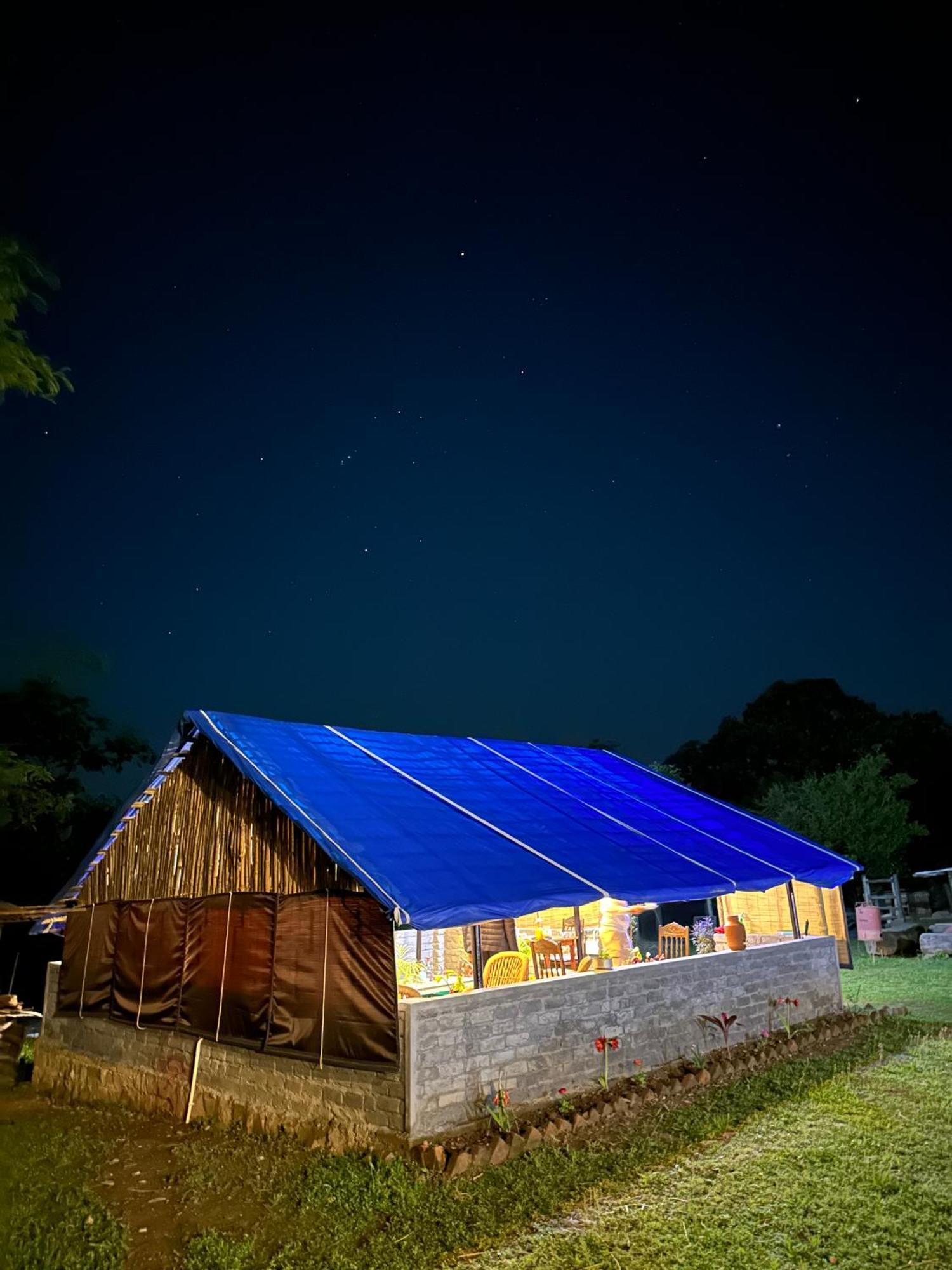 Dreamwoods A Travellers Farm * Dharamshala