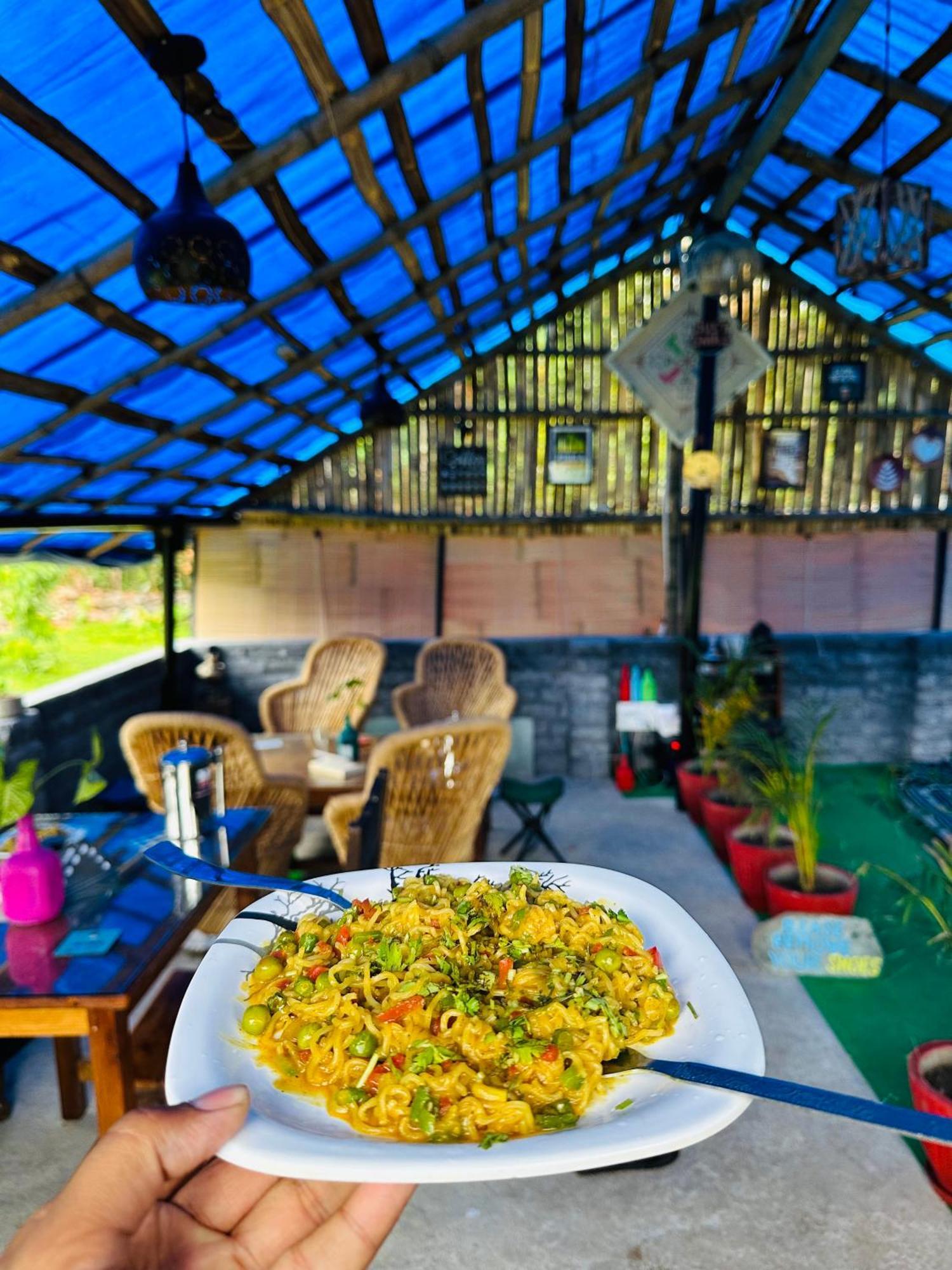 Hostel Dreamwoods A Travellers Farm
