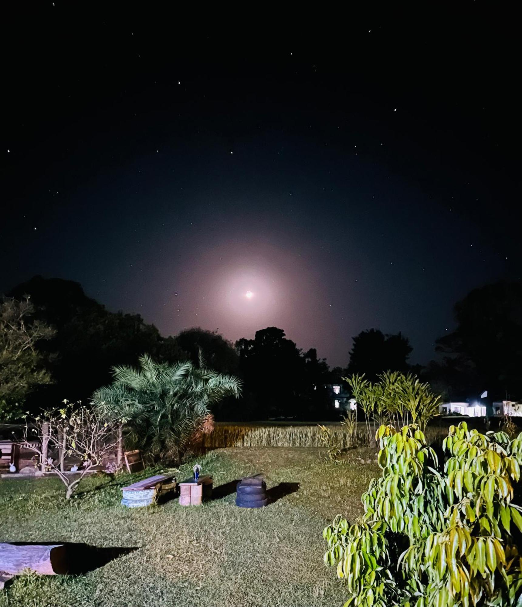 Hostel Dreamwoods A Travellers Farm