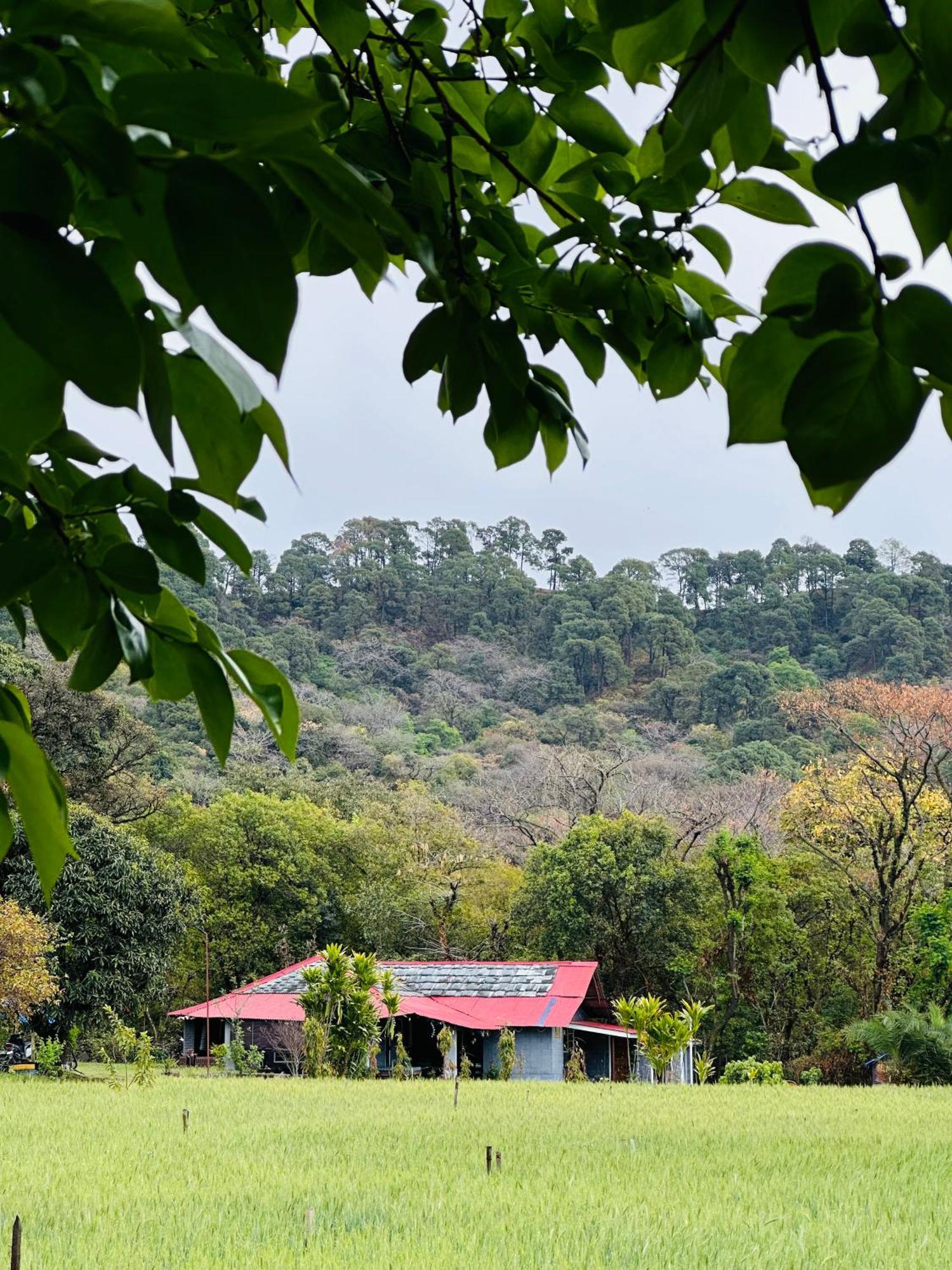Dreamwoods A Travellers Farm * Dharamshala