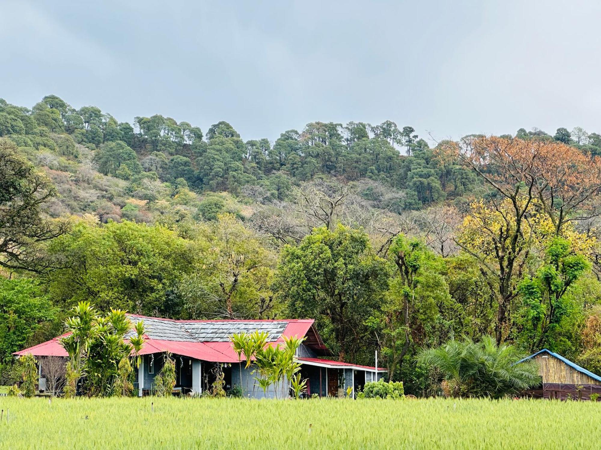 Dreamwoods A Travellers Farm *