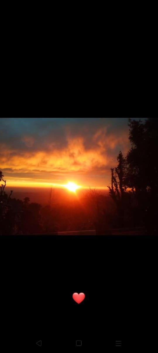 Sharry's * Dharamshala