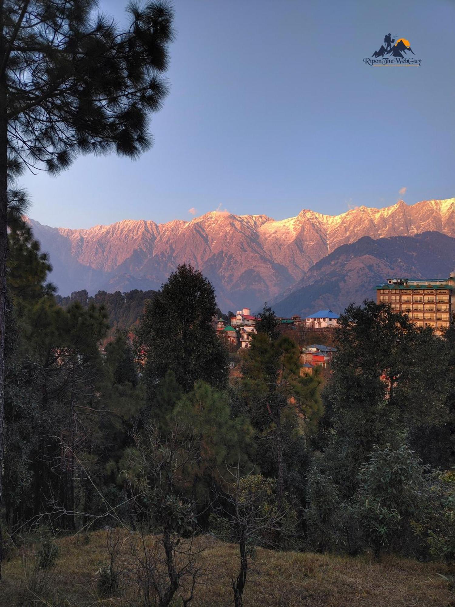 Sharry's Homestay-6oo6i77985 Dharamshala