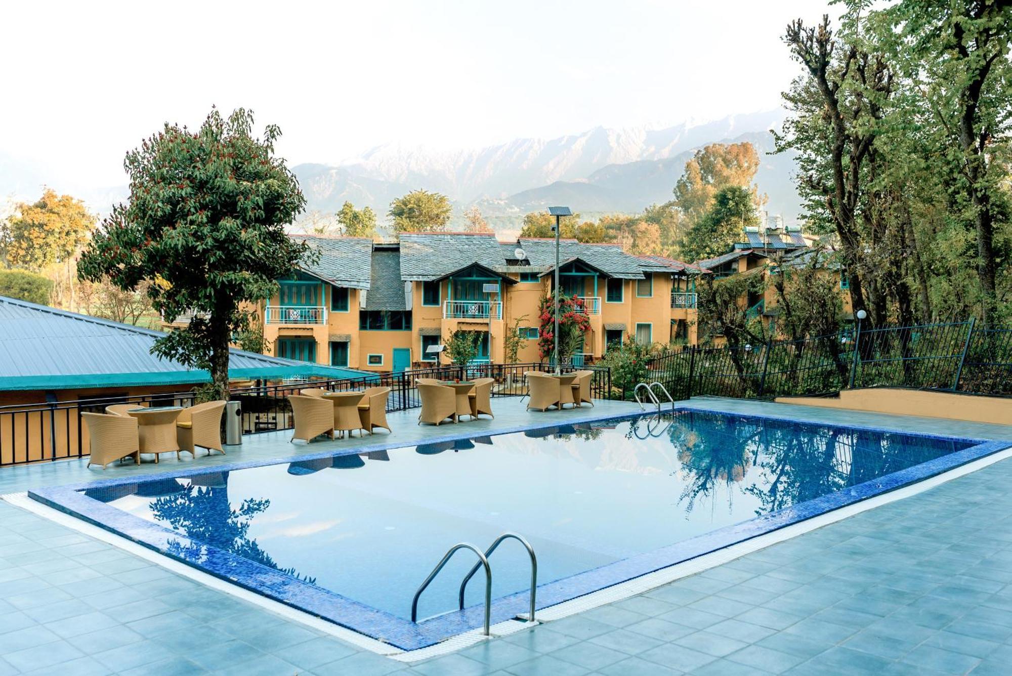 Tree Of Life Birdsong , Hotel Dharamshala