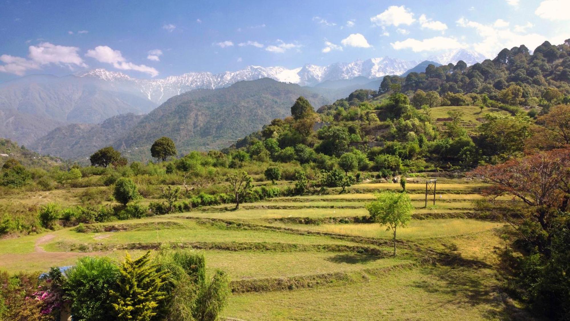 Rendezvous Dharamshala