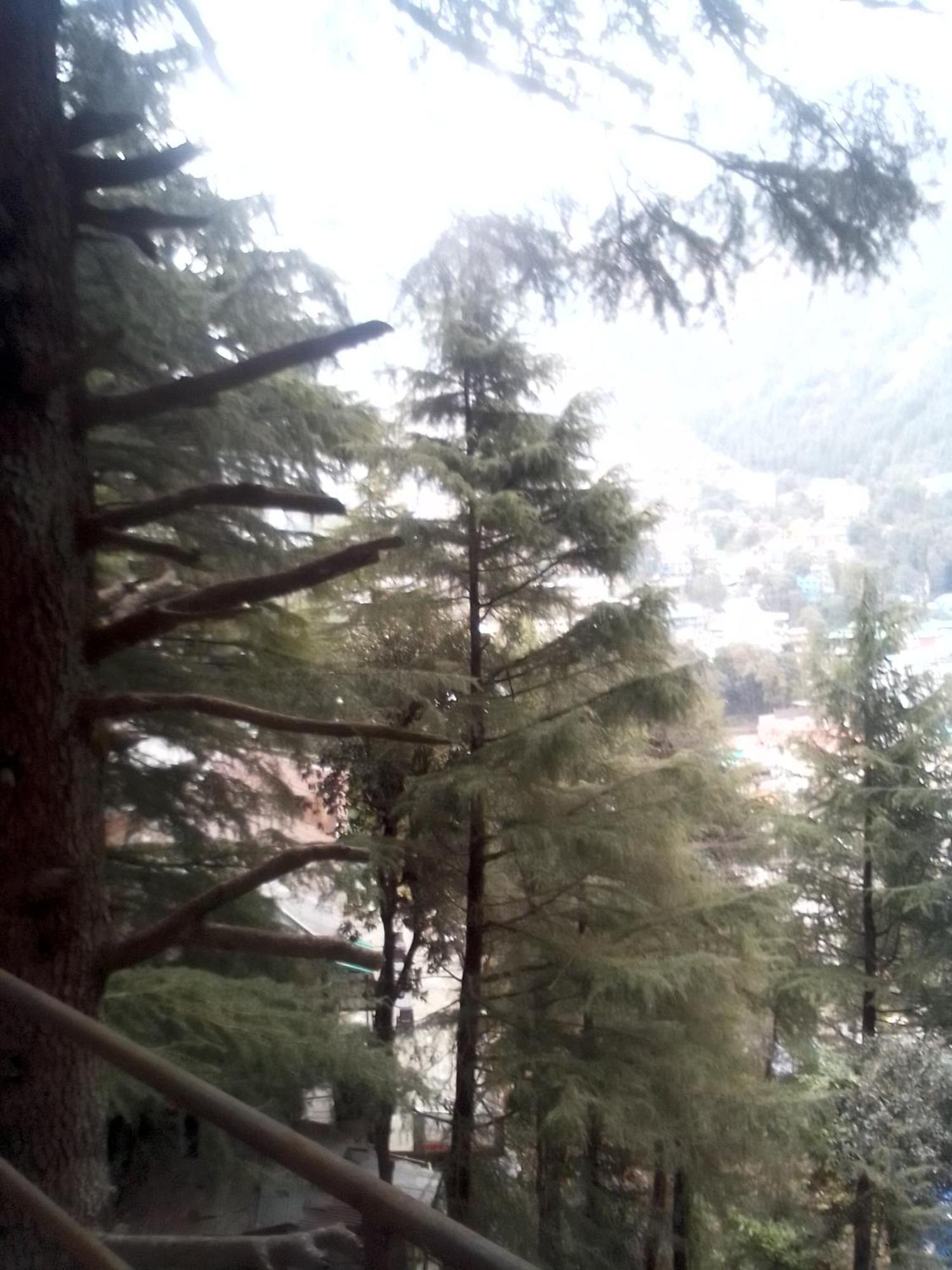 Himalayan Trekkers
