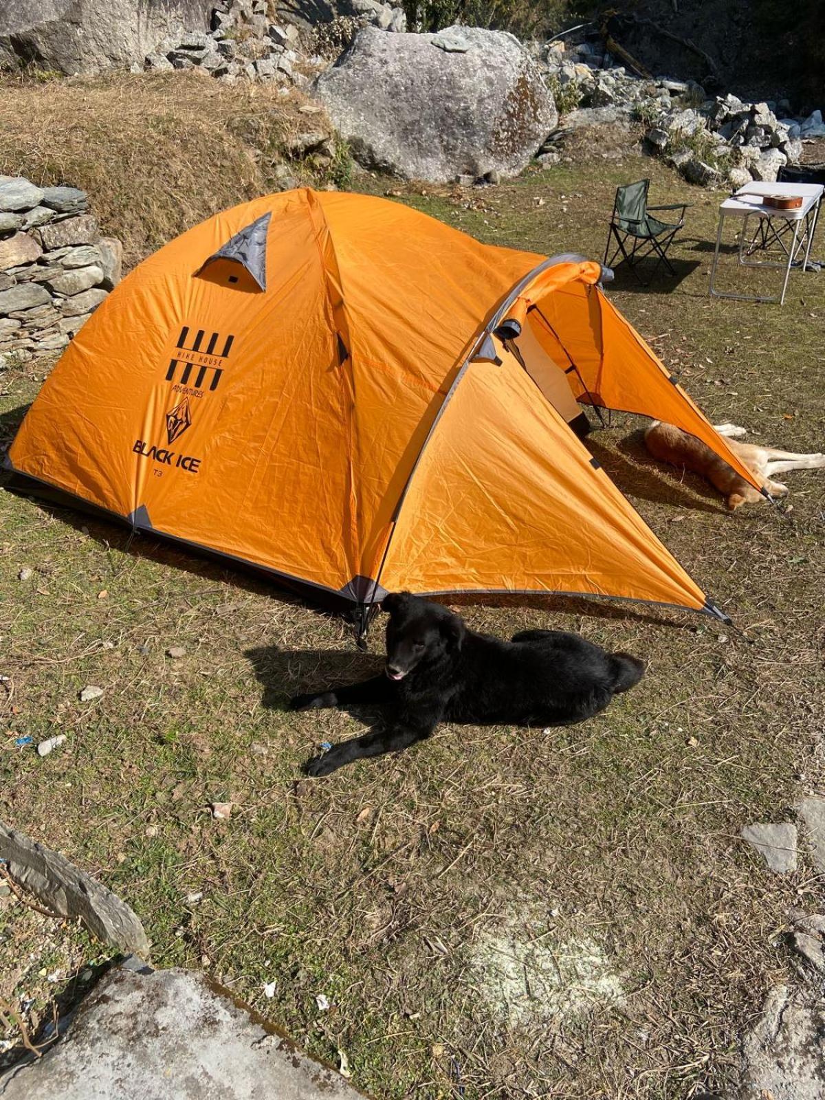 Luxury tent Bal Camps By Hike House Dharamshala