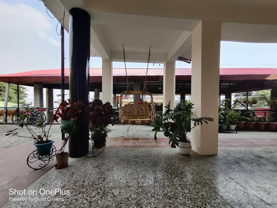 The Wintercrest * Dharamshala