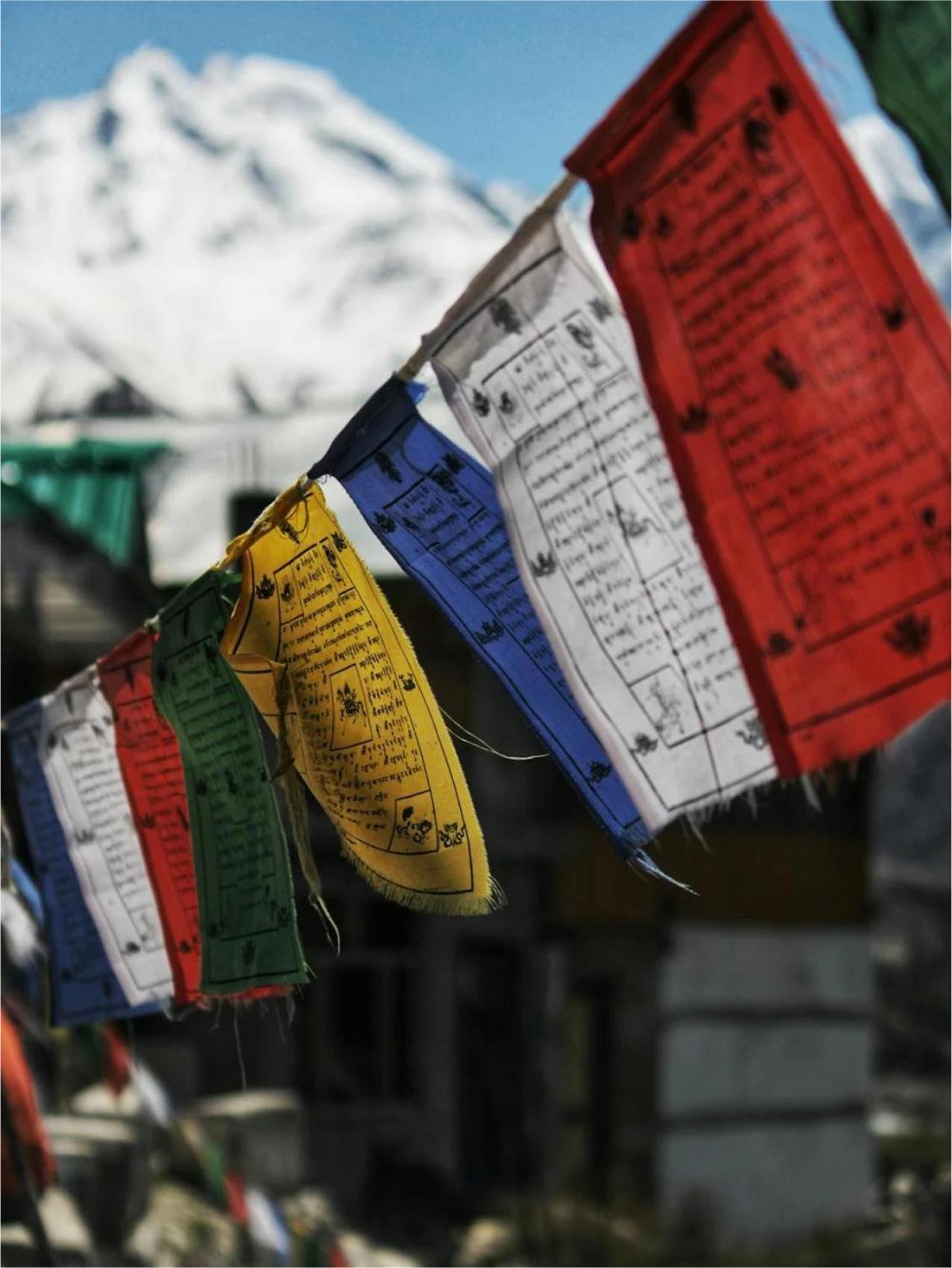 Mountain View Retreat Camp At Indrunag 3* Dharamshala
