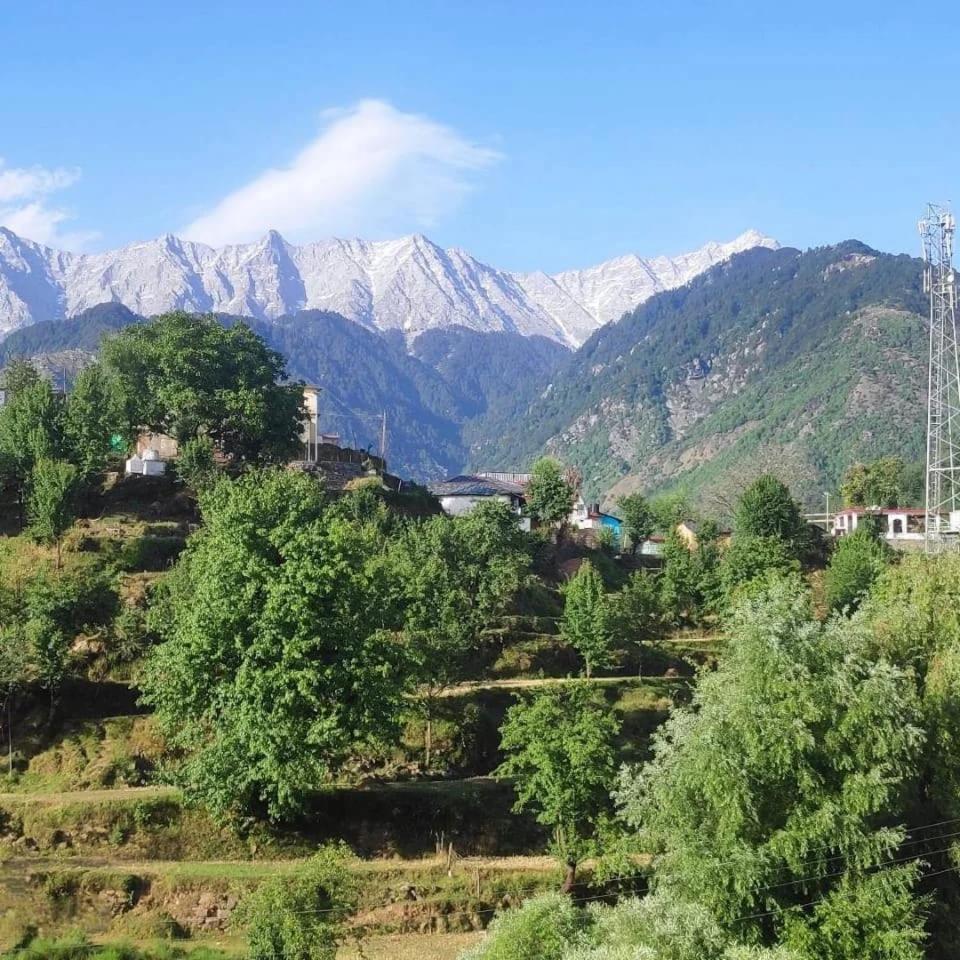 Homestay Anchal House Dharamshala
