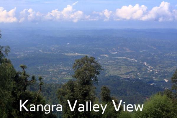 Himalayan Homestay Dharamshala