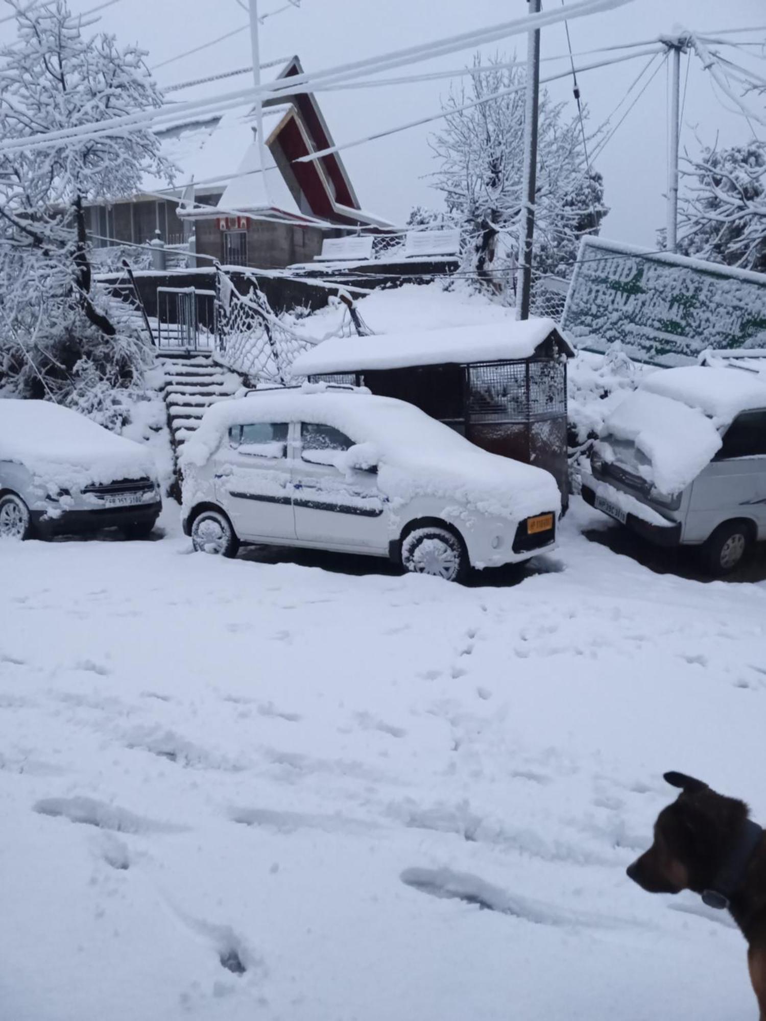 Nirmal Homestay Dharamshala