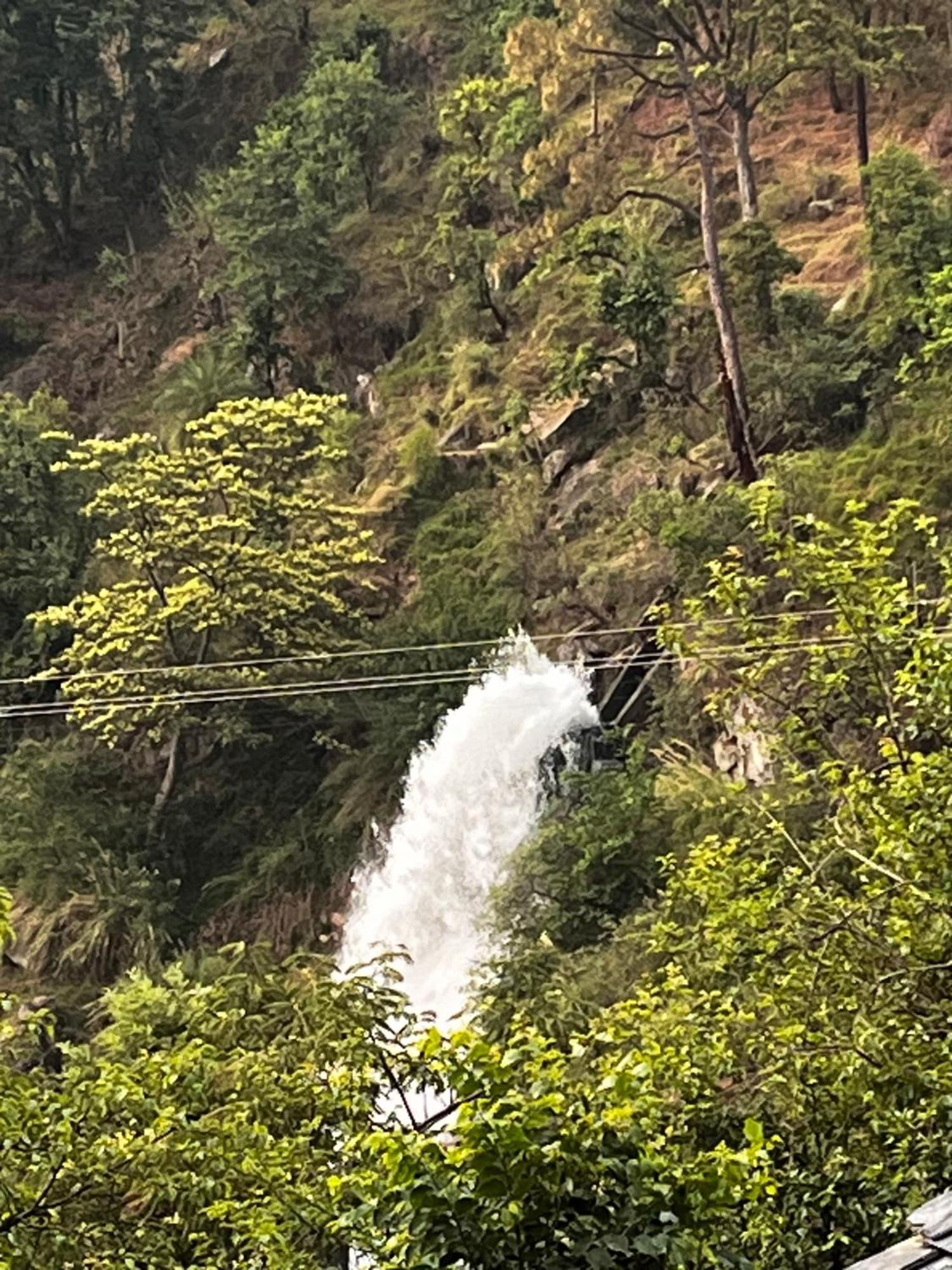 Dhauladhar Eternals Homestay