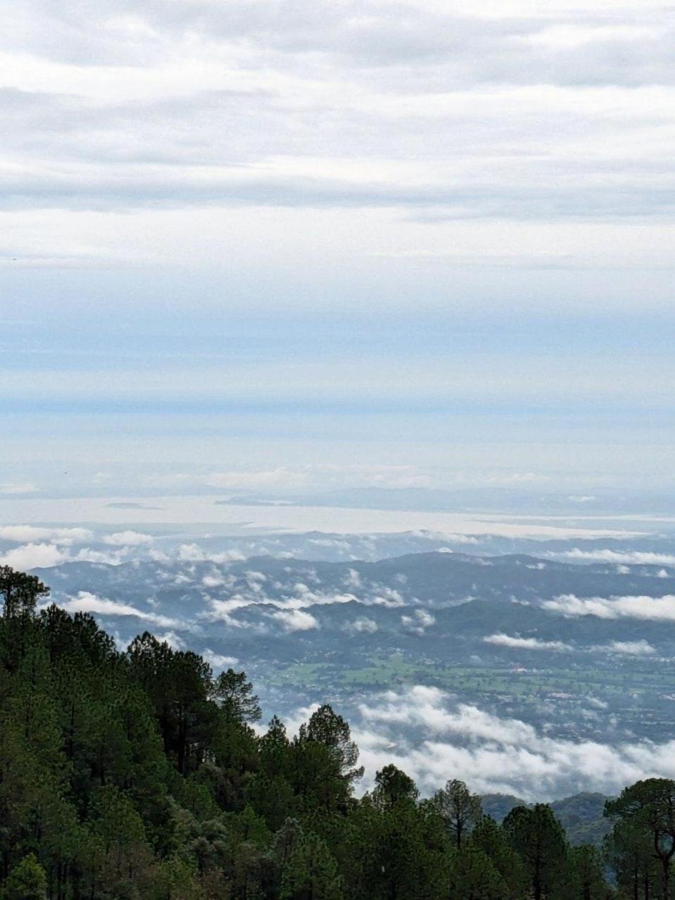 Sharry's * Dharamshala