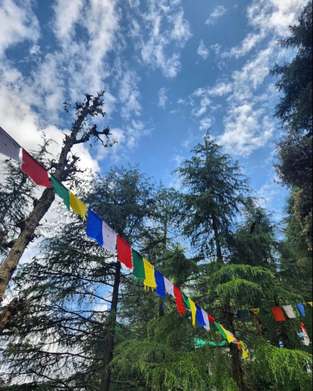 Thrillomania Mcleodganj Hostel *