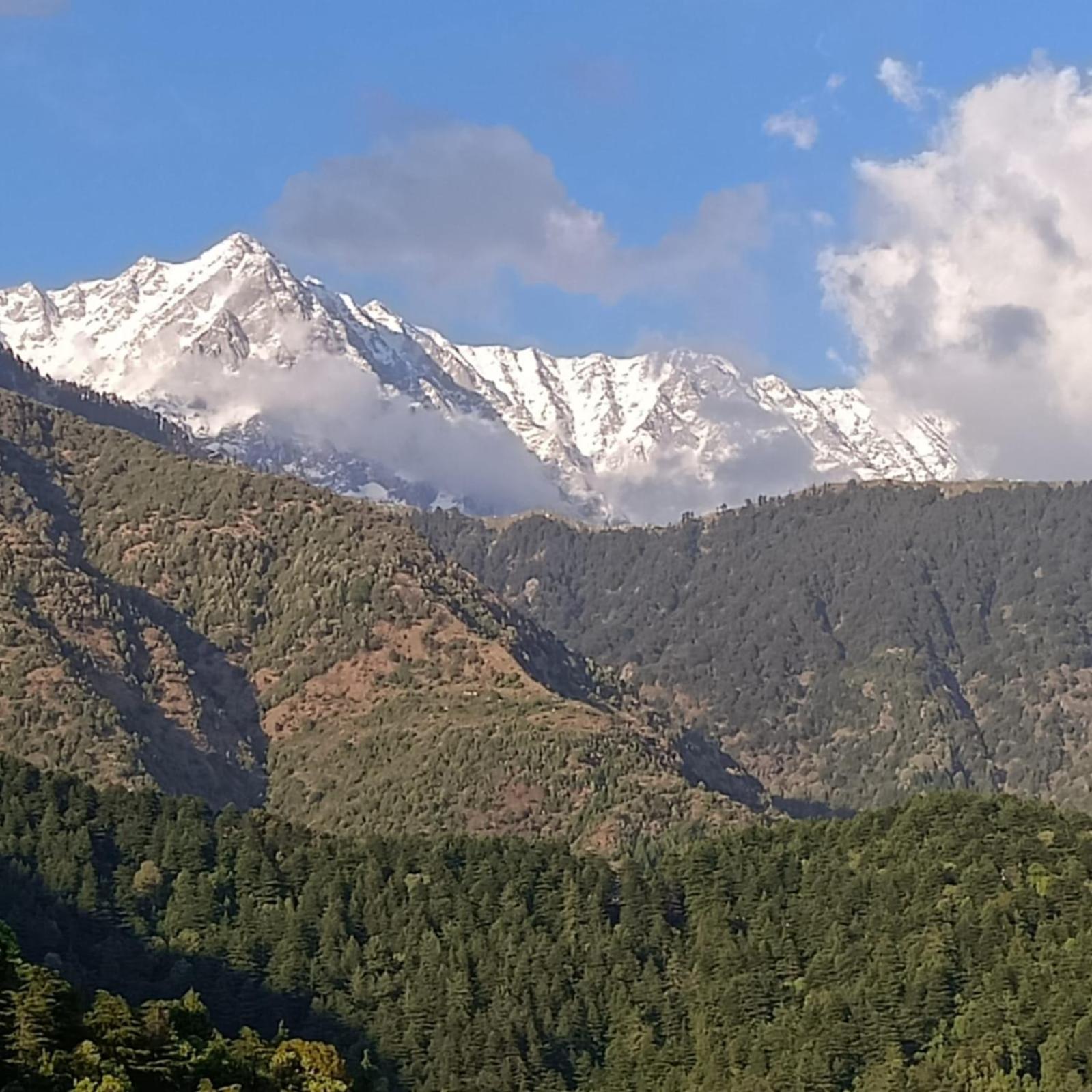 Bed & Breakfast Swaran Near Mcleodganj Dharamshala
