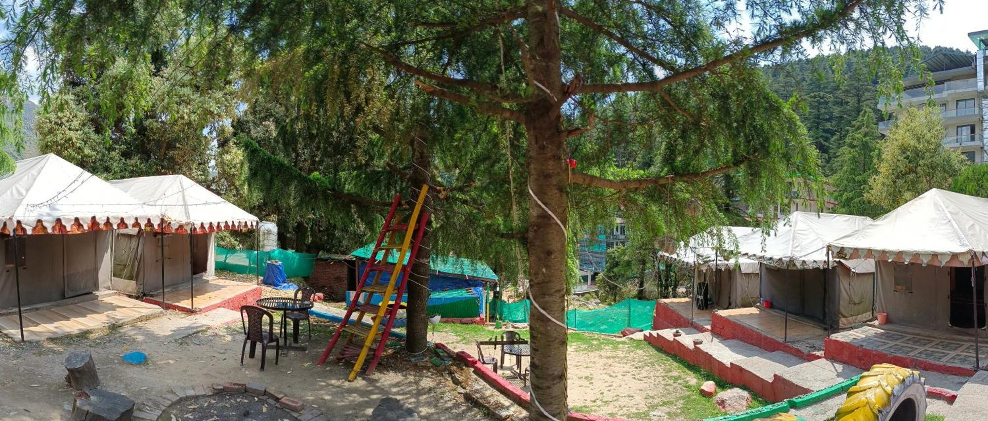 Luxury tent Camp Bhagsu