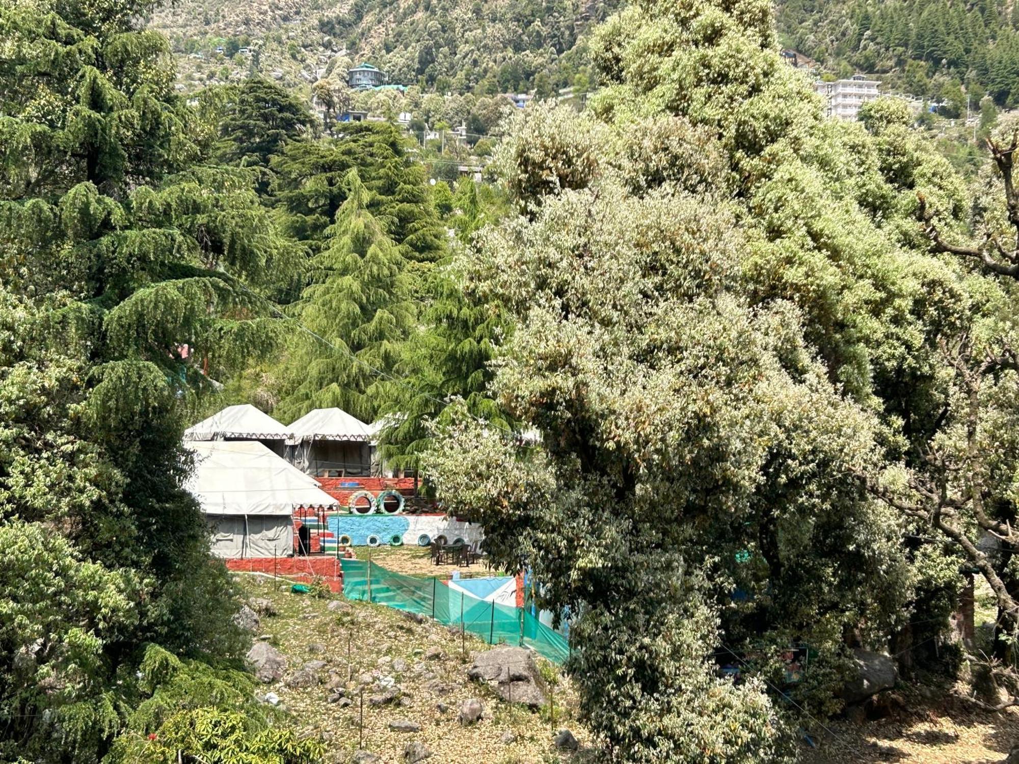 Luxury tent Camp Bhagsu *