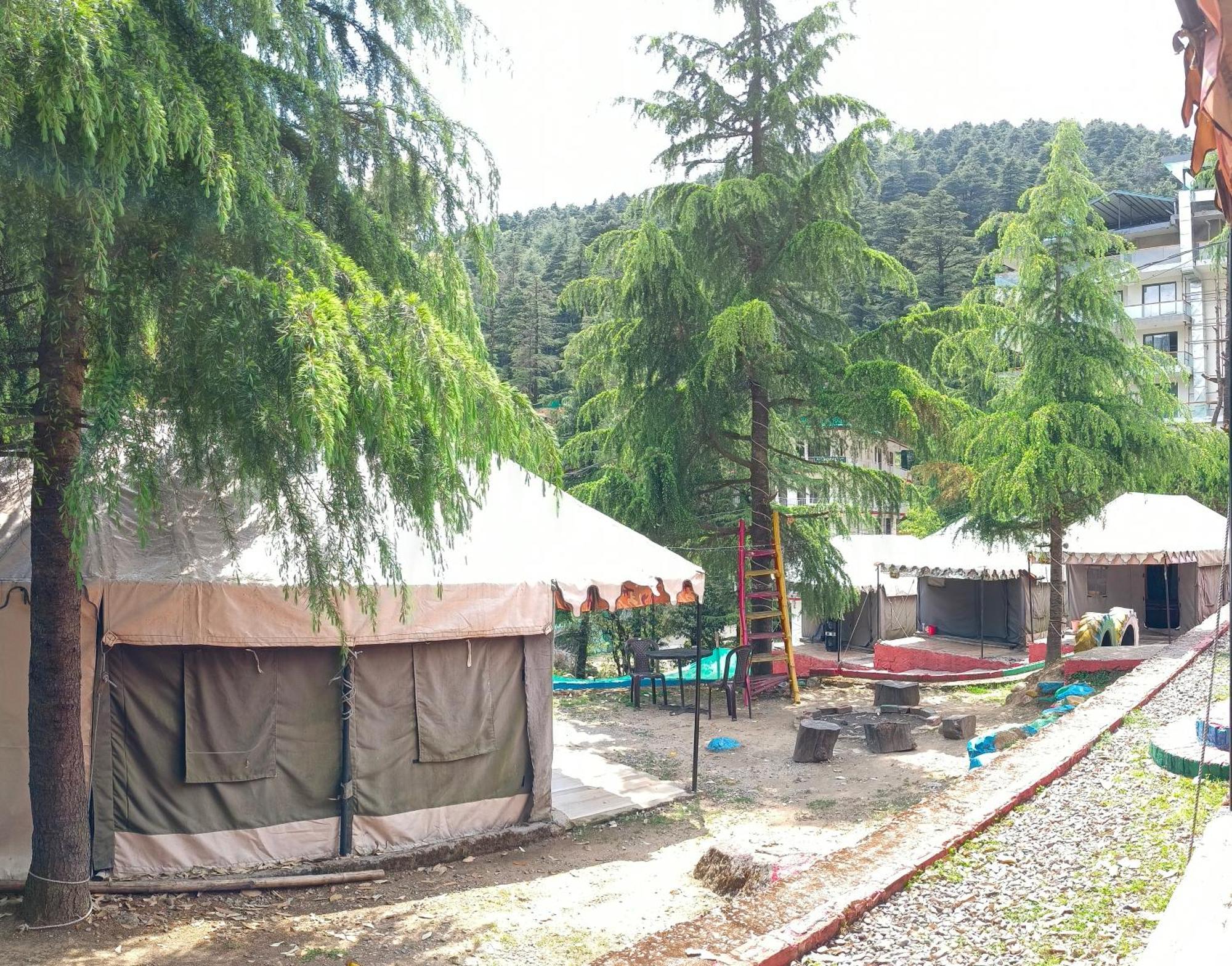 Camp Bhagsu * Dharamshala